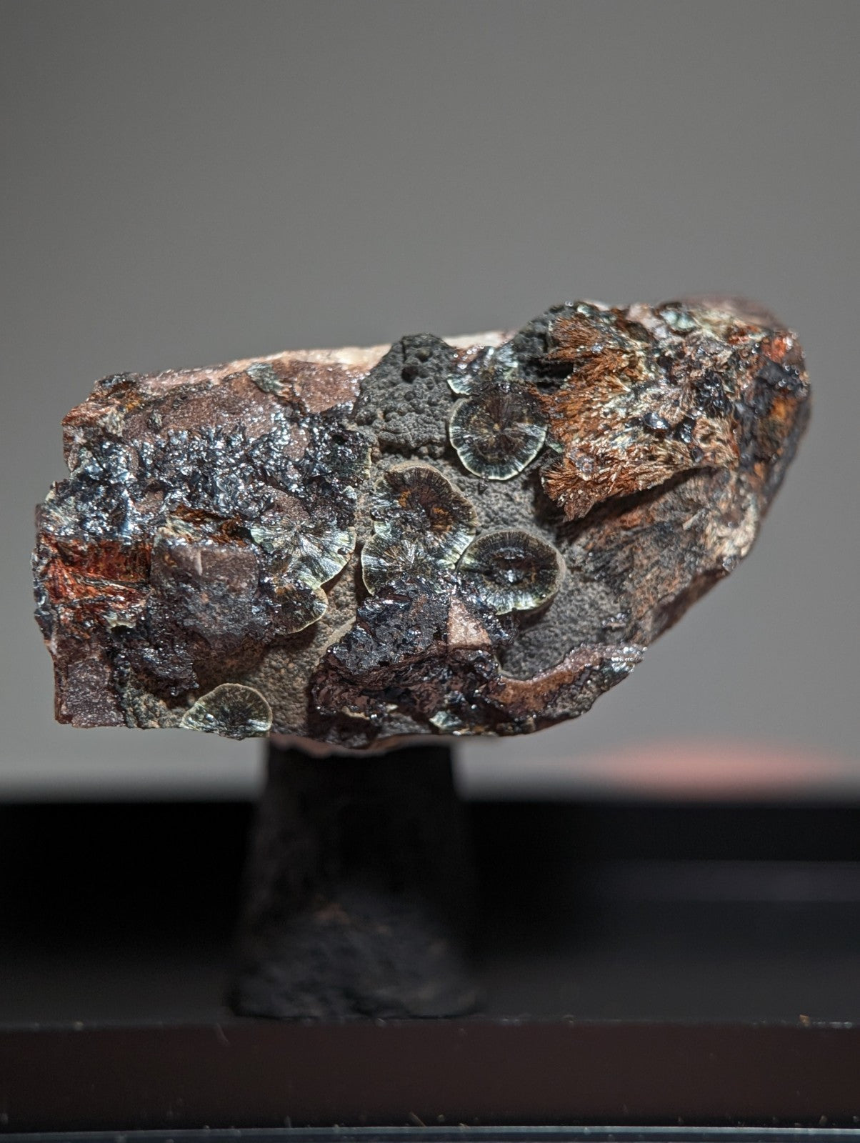Rare Kidwellite on Novaculite - Coon Creek, Polk County, Arkansas, w/ photo case