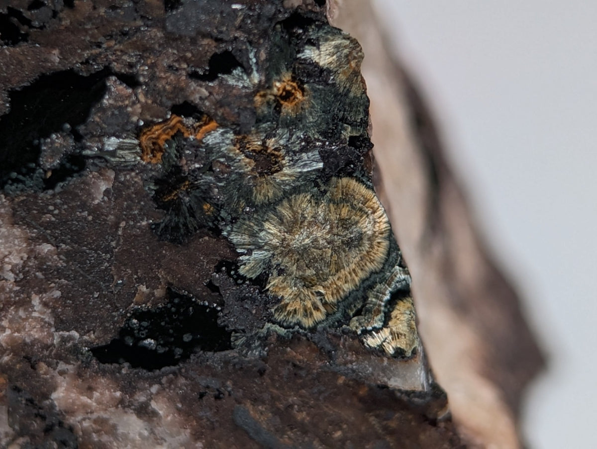 Rare Kidwellite specimen - Coon Creek Mine, Polk County, Arkansas, USA