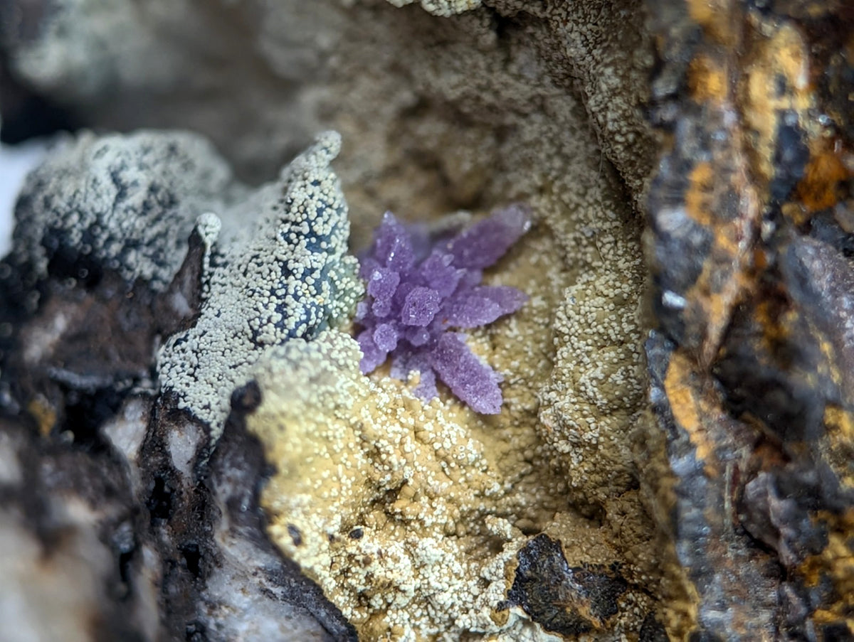 Super Rare Strengite + Kidwellite, etc, Coon Creek Mine, Polk Co, Arkansas, A+++