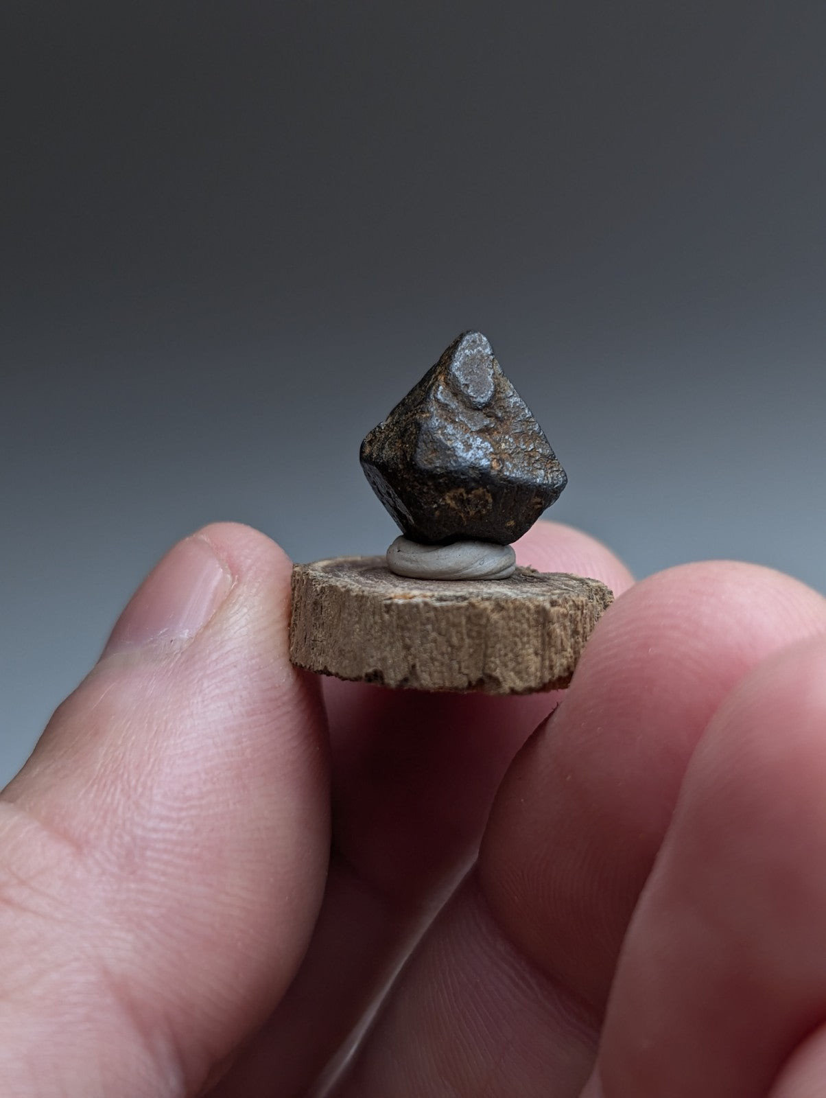 Magnetite Crystal, Magnet Cove Igneous Complex, Arkansas, Old Stock, +wood stand