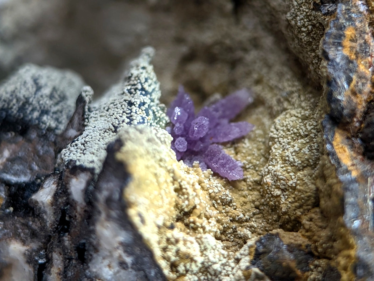 Super Rare Strengite + Kidwellite, etc, Coon Creek Mine, Polk Co, Arkansas, A+++