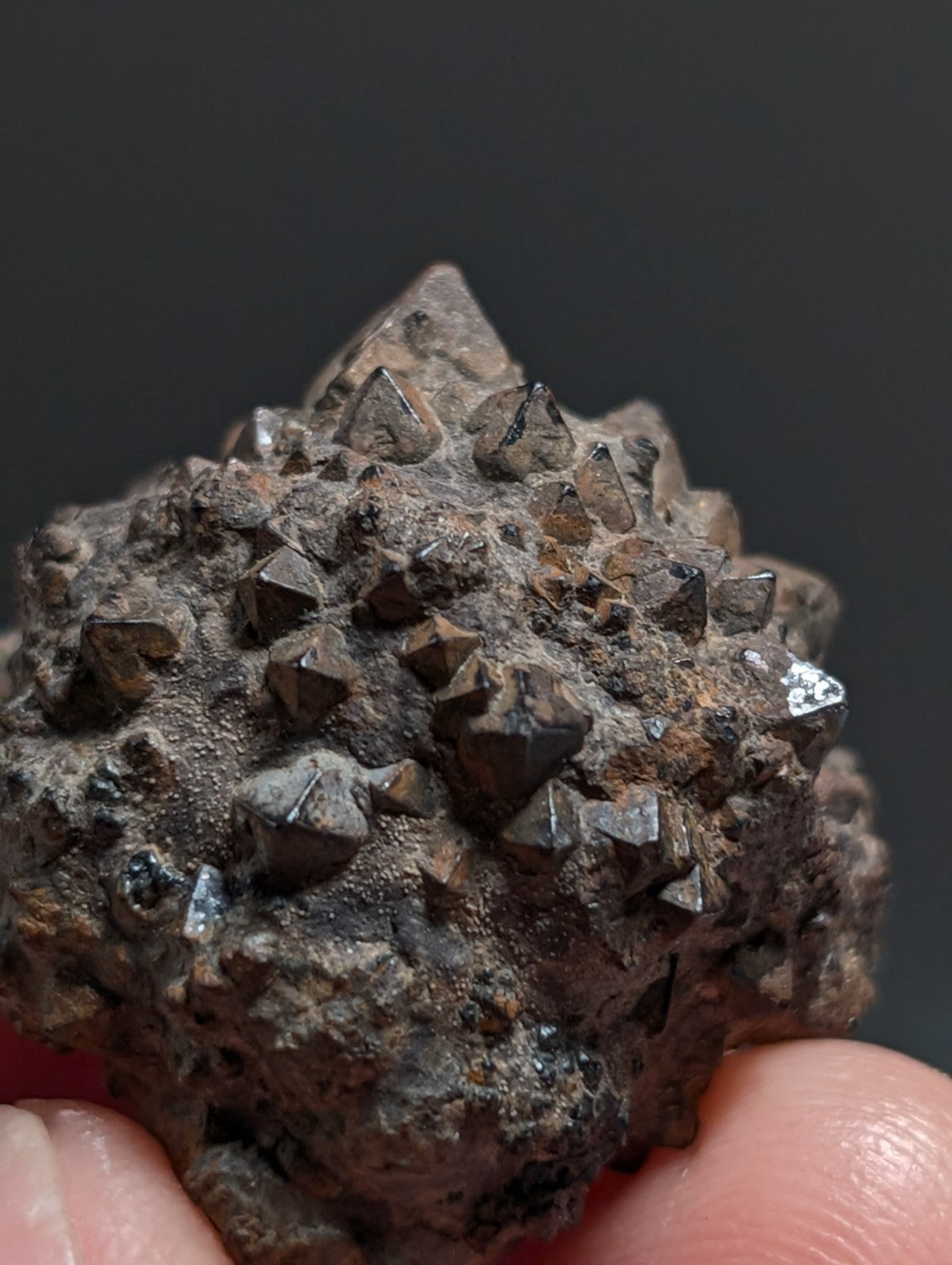 Limonite & Pyrite Pseudomorph, Benton County, Arkansas,  Ex Henry Delinde!