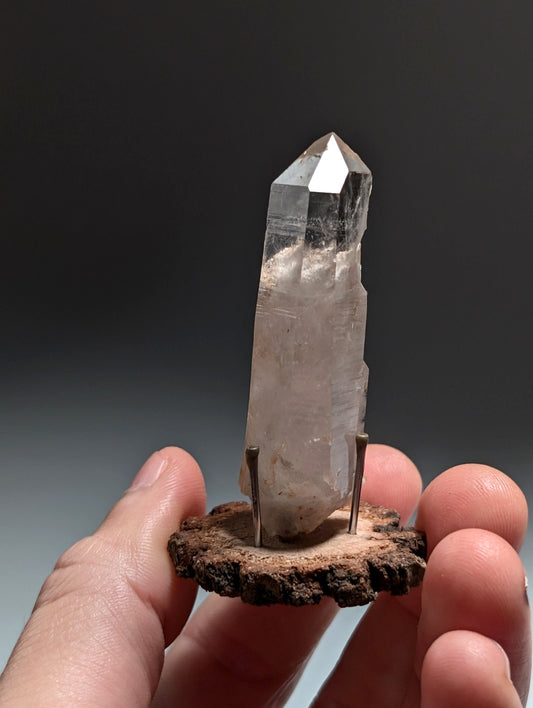 Quartz Crystal Point, Old Stock, Montgomery County, Arkansas, USA