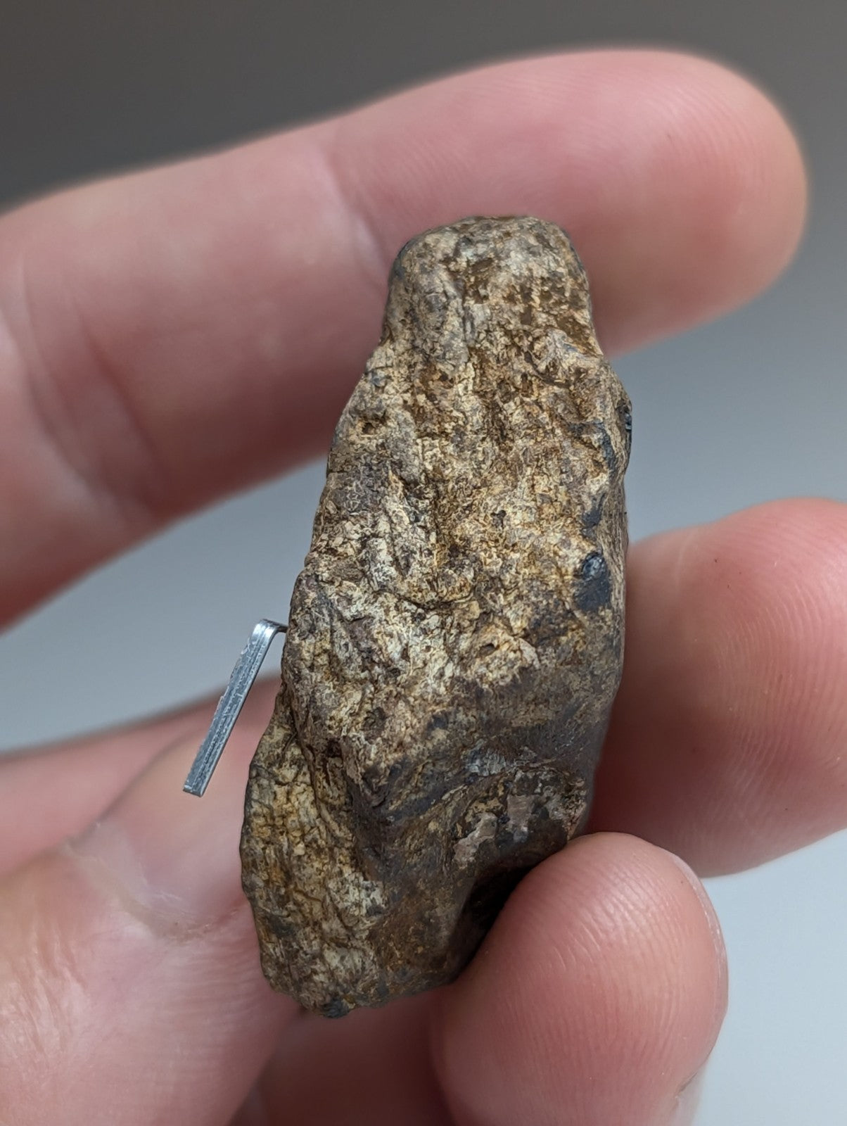 Magnetite (Lodestone), Magnet Cove, Arkansas,Unique Old Stock, natural magnet