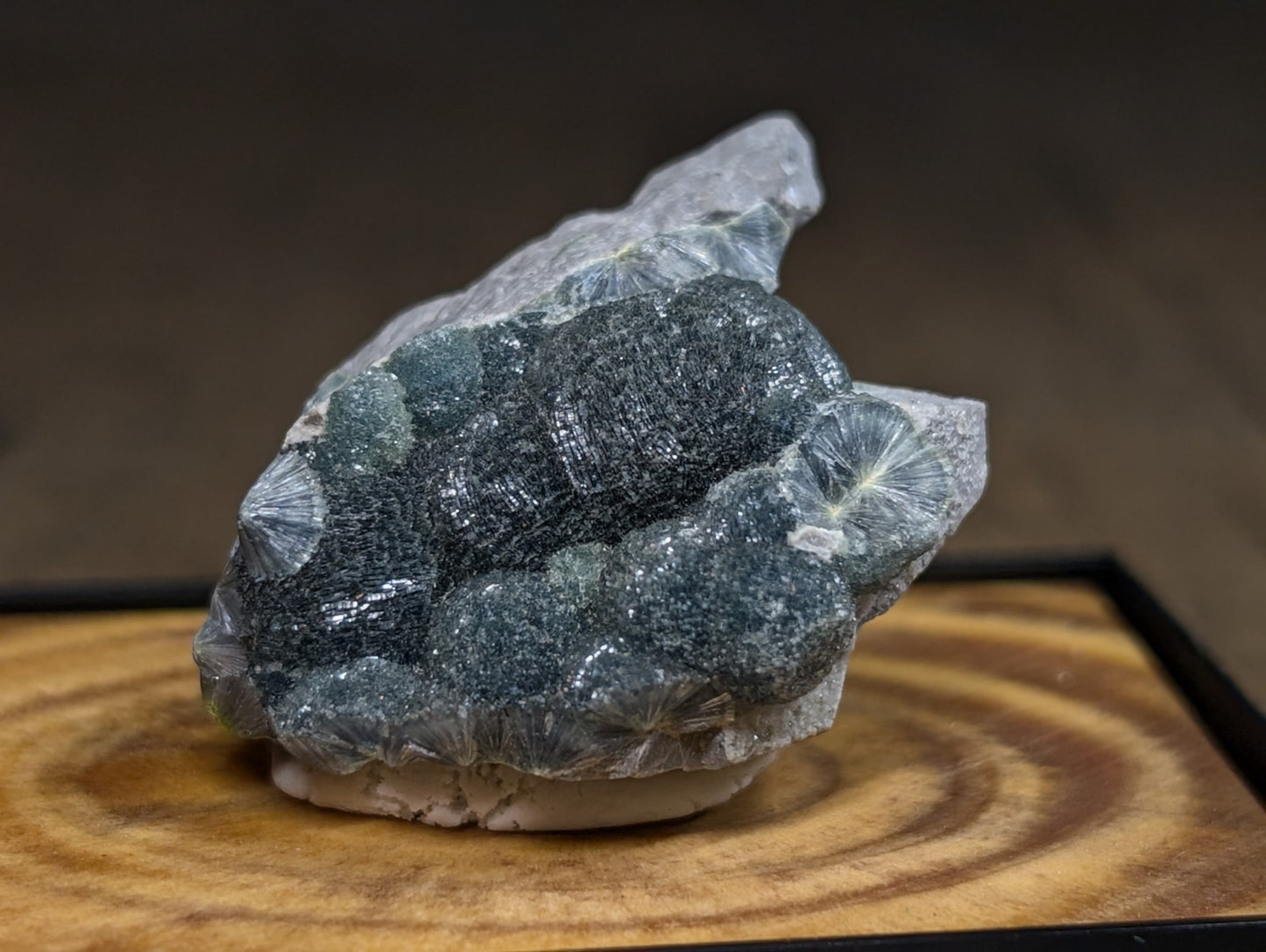 Blue-Green Wavellite, w/ wood mount + photo case - Montgomery County, Arkansas