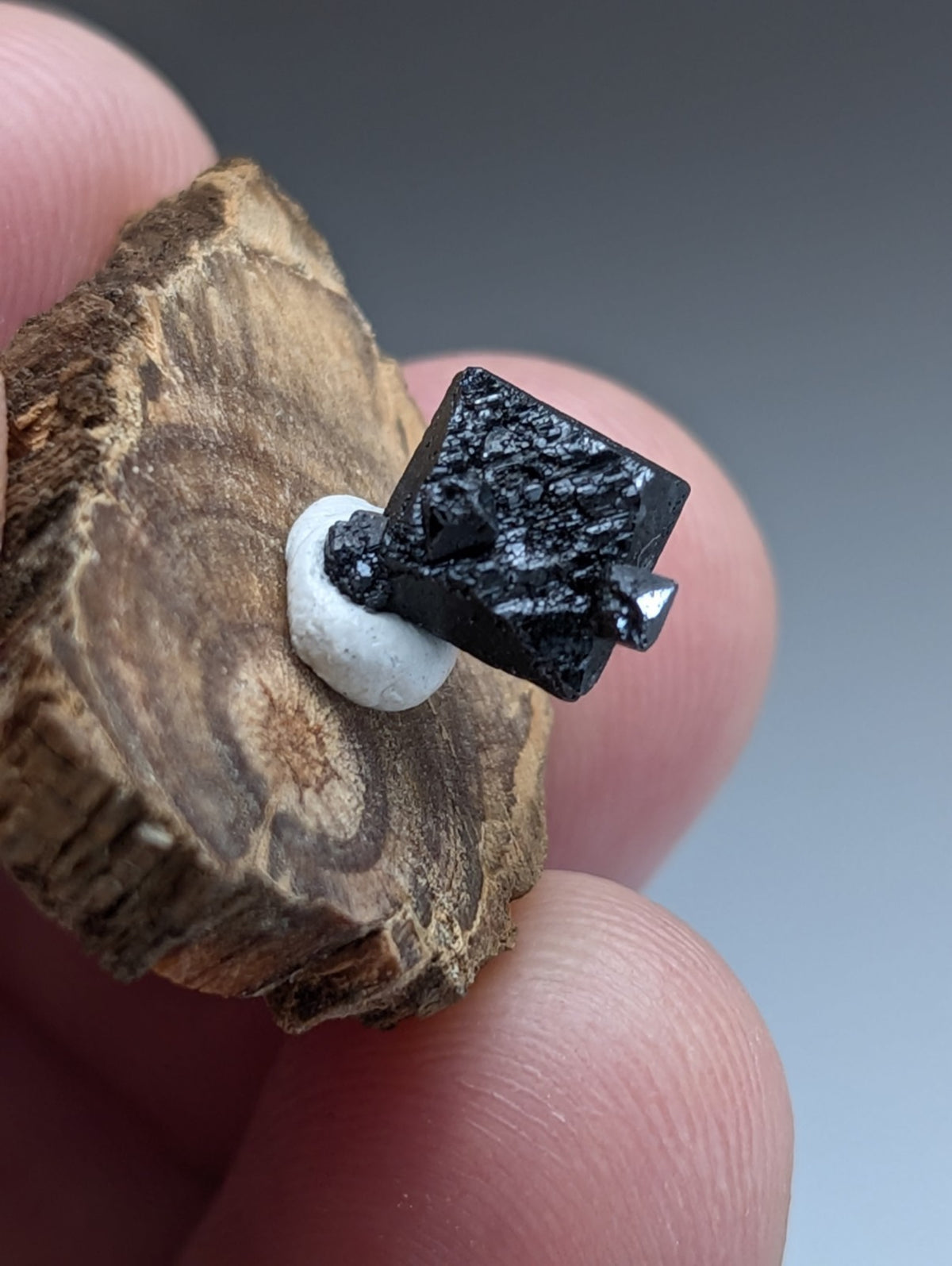 A+ Brookite Crystal, Magnet Cove, Arkansas, Old Stock, + wood stand