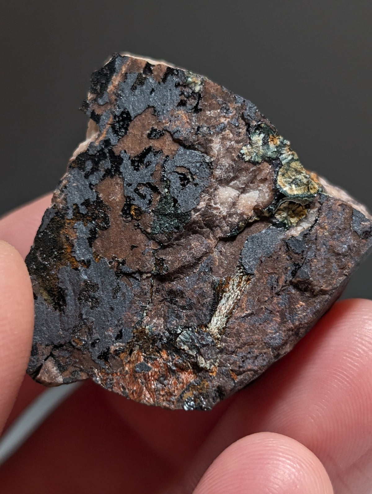 Rare Kidwellite specimen - Coon Creek Mine, Polk County, Arkansas, USA