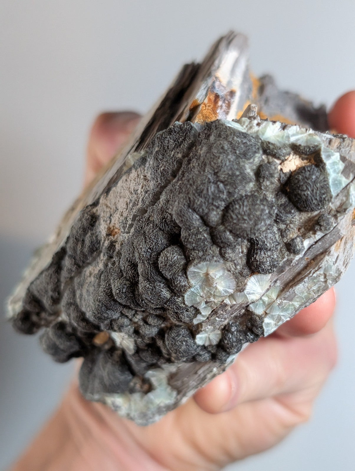 Black Wavellite - Fantastic Old Stock - Mauldin Mountain, Arkansas, USA, Rare