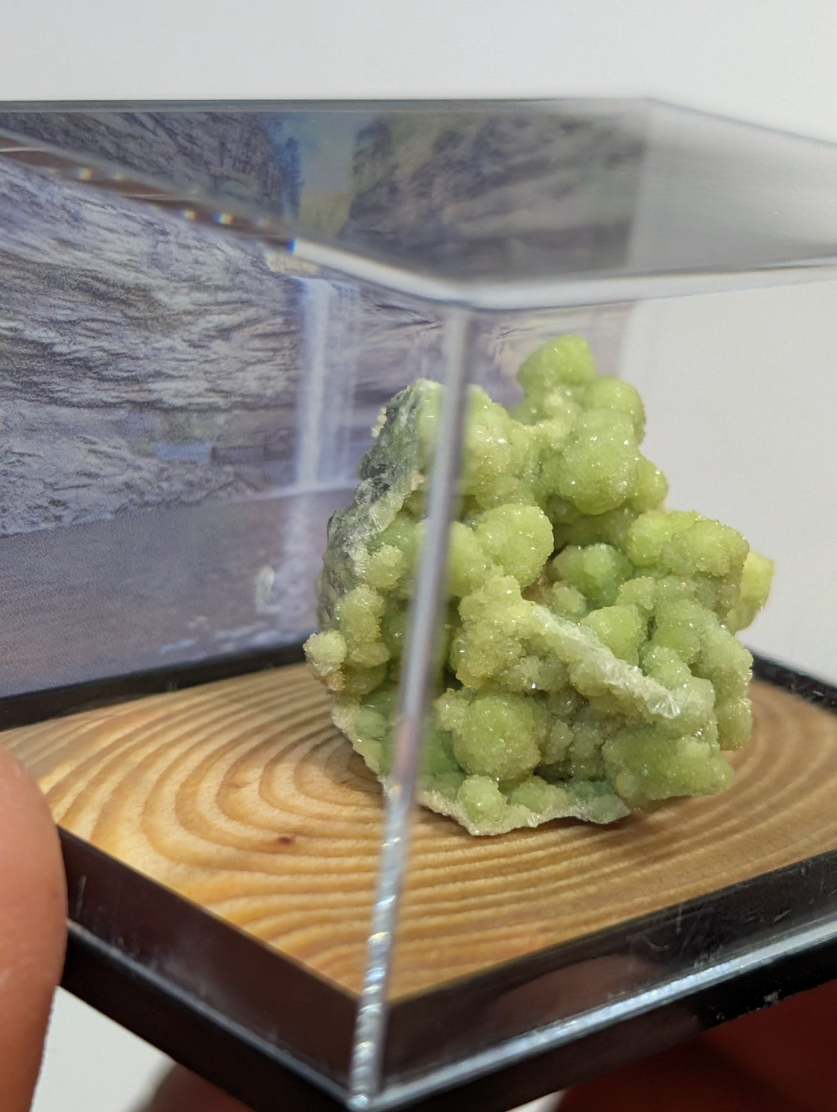 A+ FluorWavellite, w/ wood mount + photo case - Montgomery County, Arkansas