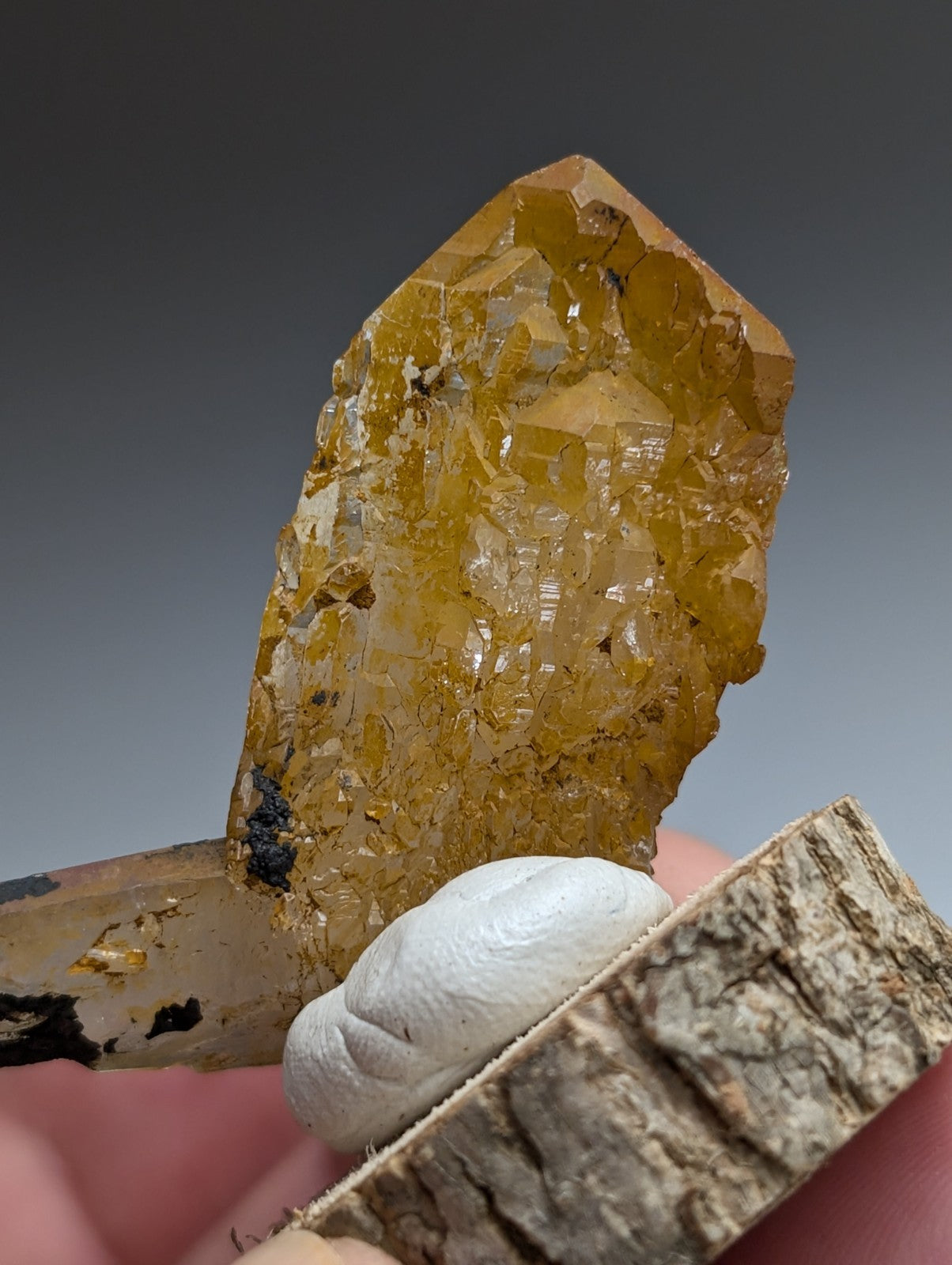 A+ Unique Quartz, Old Stock, Montgomery County, Arkansas, w/ natural wood base