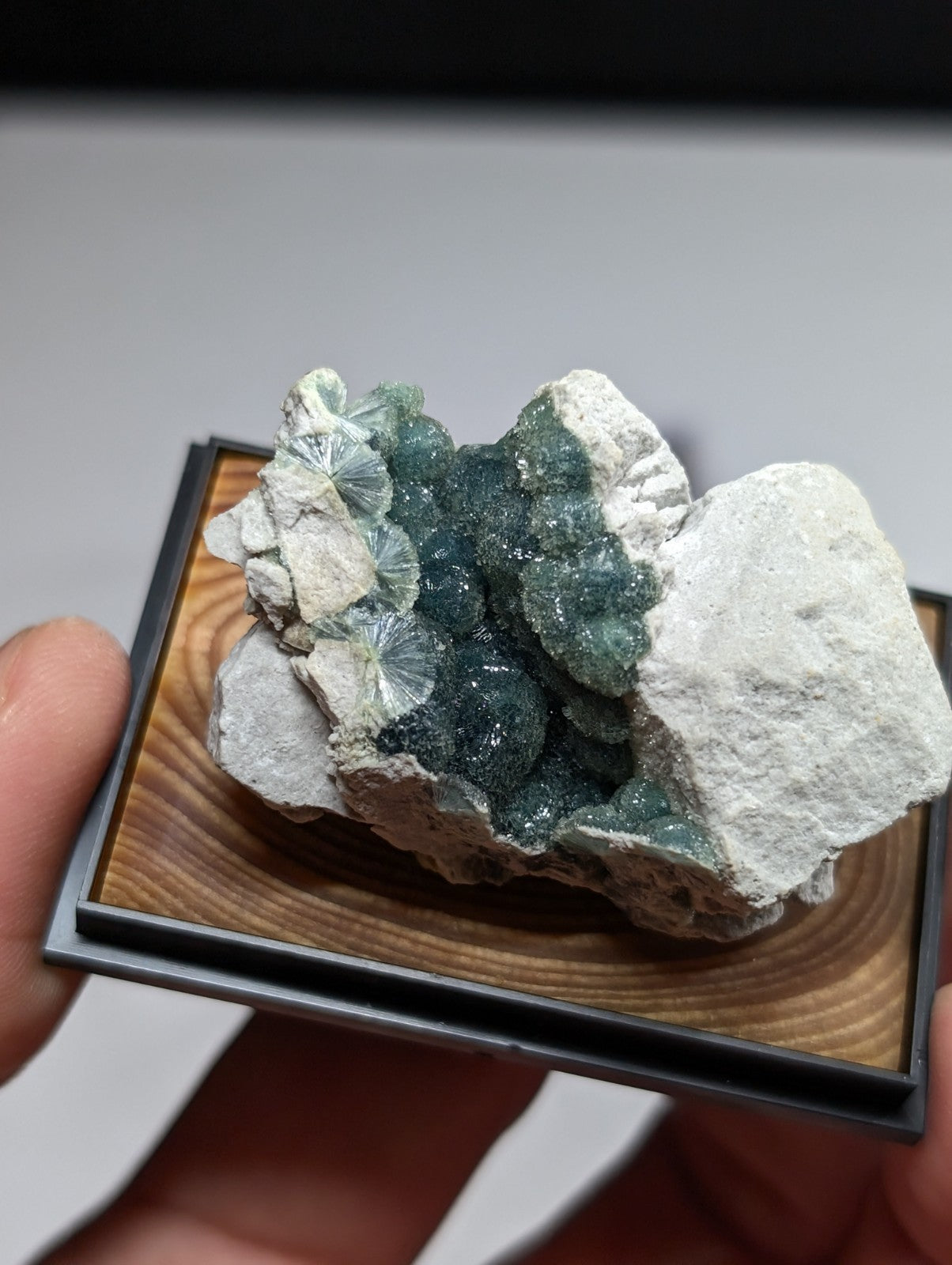 Wavellite, w/ wood mount + photo case - Old Stock - Garland County, Arkansas