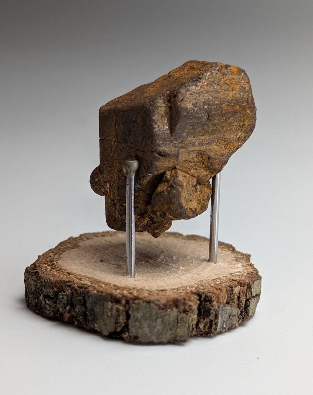 Goethite after Pyrite Pseudomorph, Magnet Cove, Arkansas,  w/ natural wood stand
