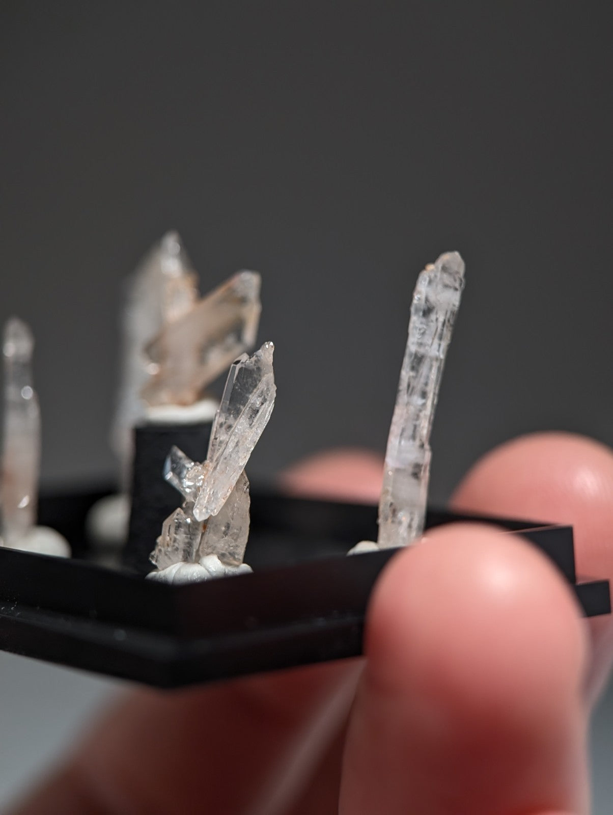 Set of 5 Faden Quartz Crystals, w/ photo case/mount, Montgomery County, Arkansas