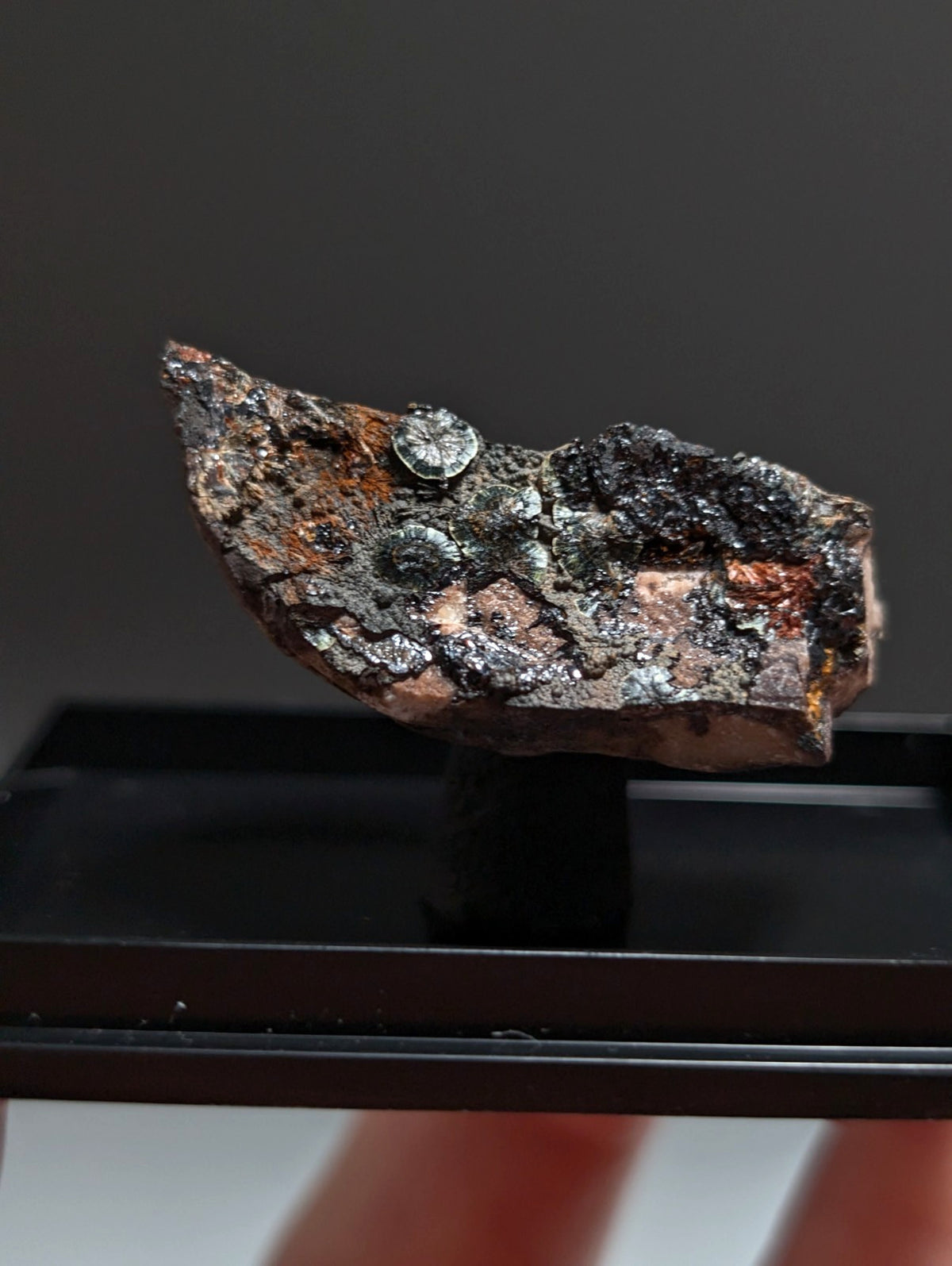 Rare Kidwellite on Novaculite - Coon Creek, Polk County, Arkansas, w/ photo case