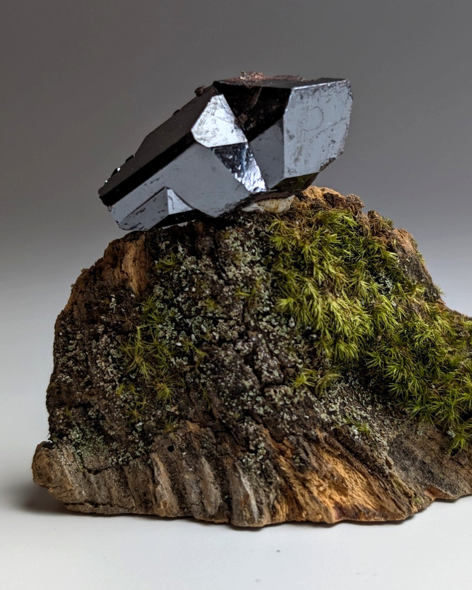 A+ Twinned Rutile Crystal, Graves Mountain, Georgia, USA,  Rare Old Stock