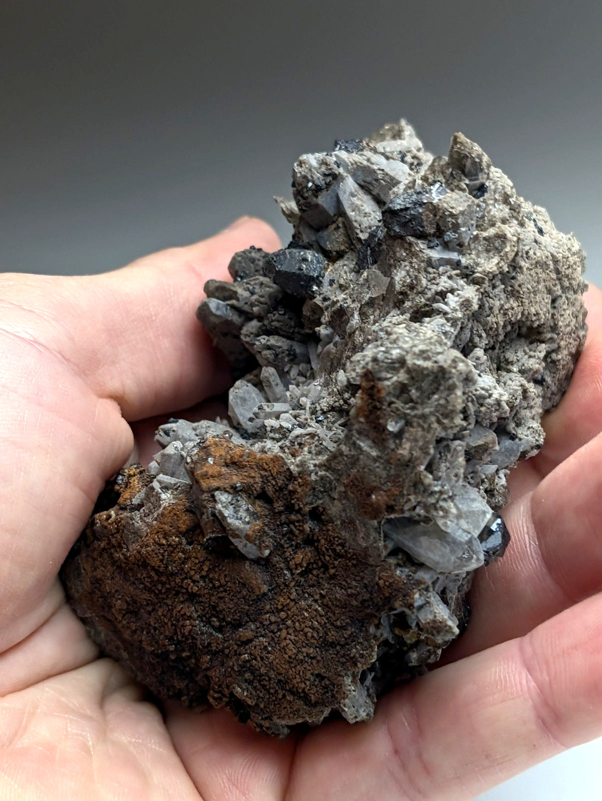 Large Brookite Crystals on Smoky Quartz, Magnet Cove, Arkansas, USA, ex Delinde