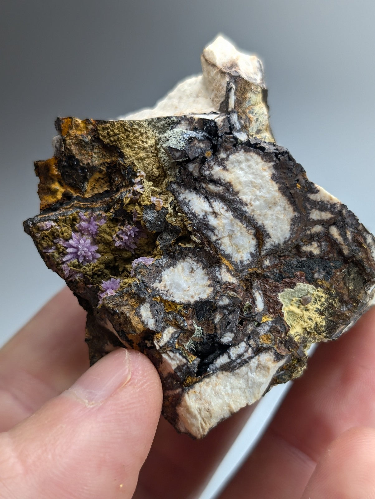Super Rare Strengite + Kidwellite, etc, Coon Creek Mine, Polk Co, Arkansas, A+++
