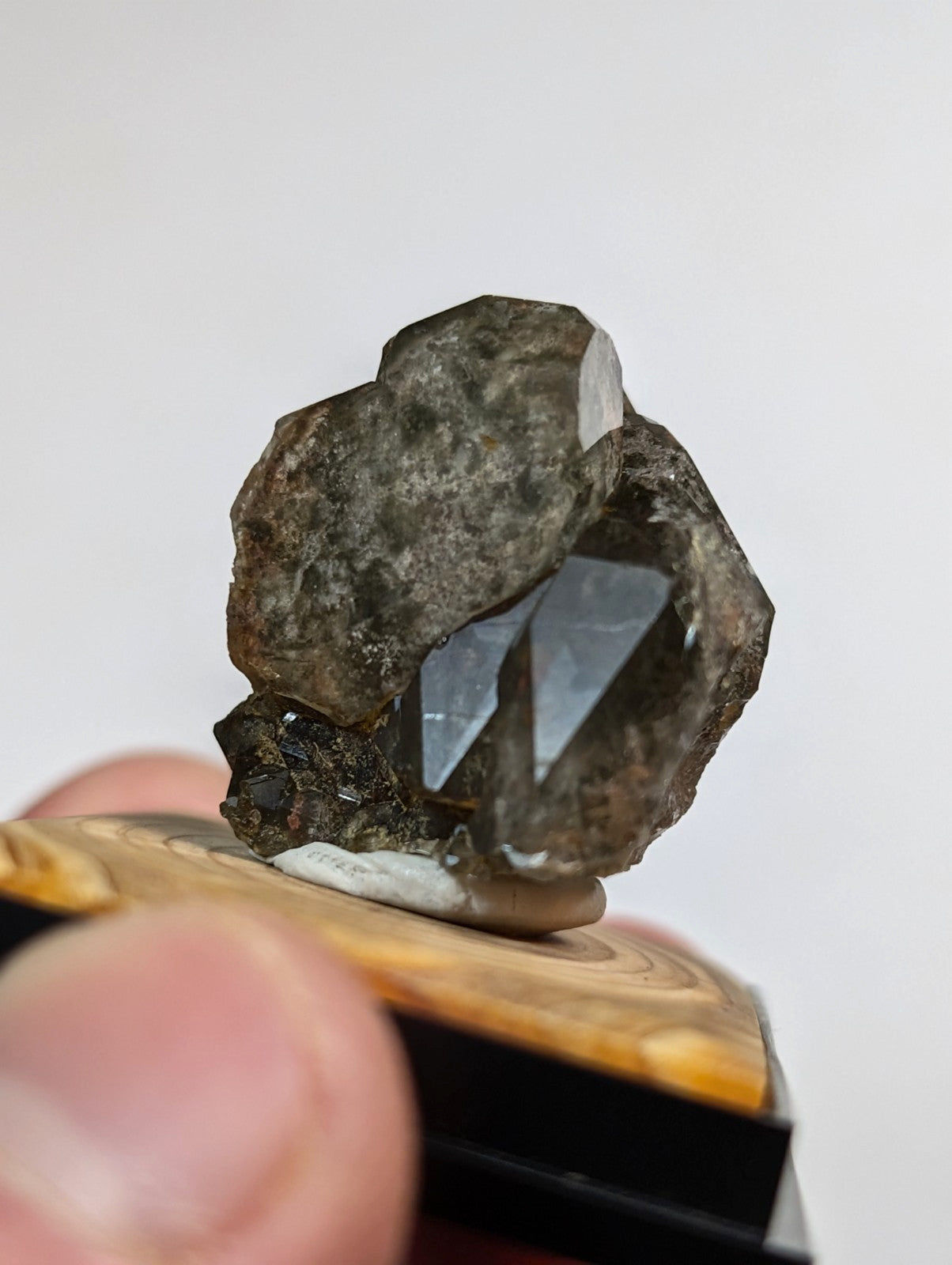 UNIQUE Phantom Quartz, w/ wood mount + photo case  - Garland County, Arkansas