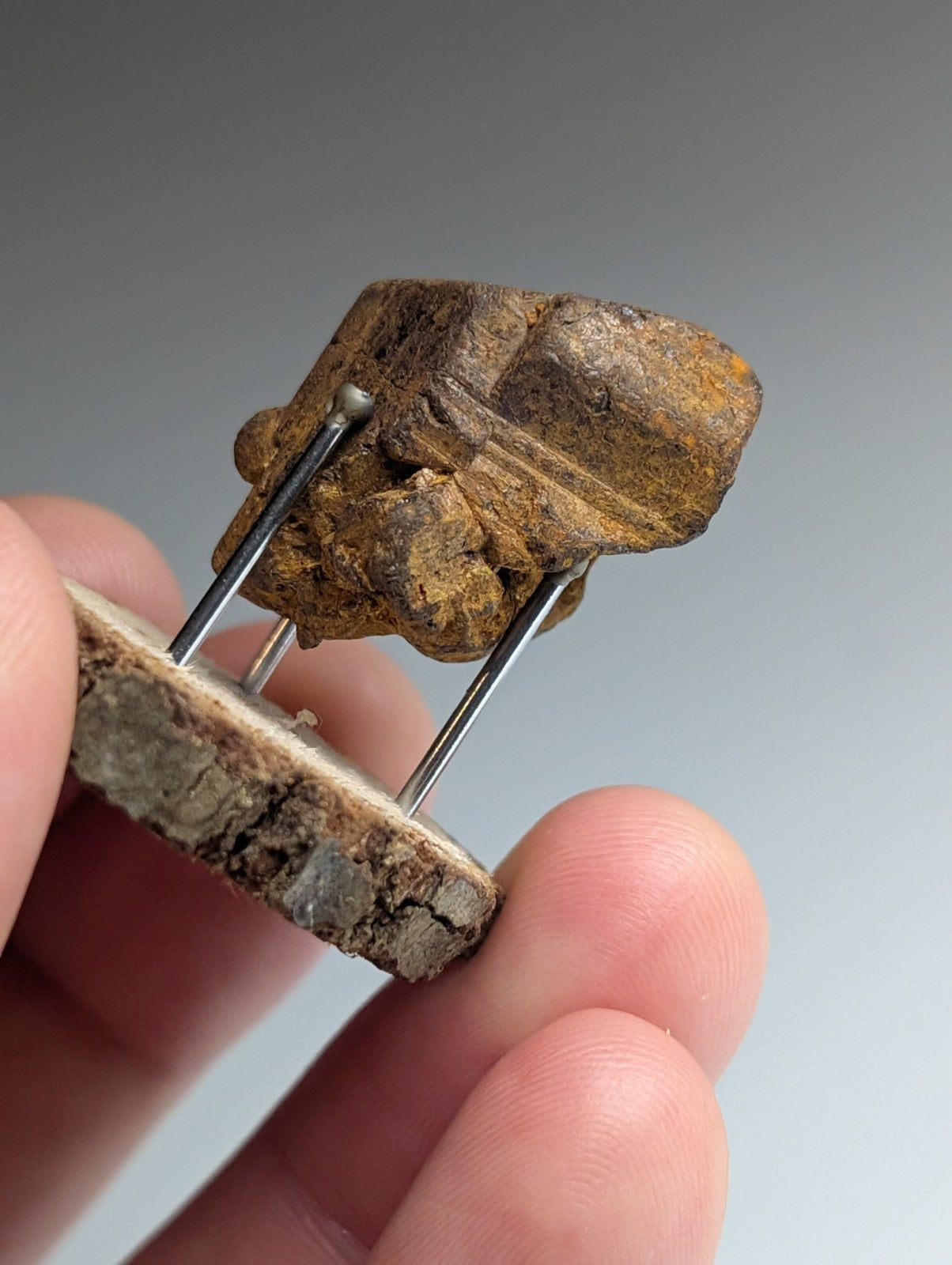 Goethite after Pyrite Pseudomorph, Magnet Cove, Arkansas,  w/ natural wood stand