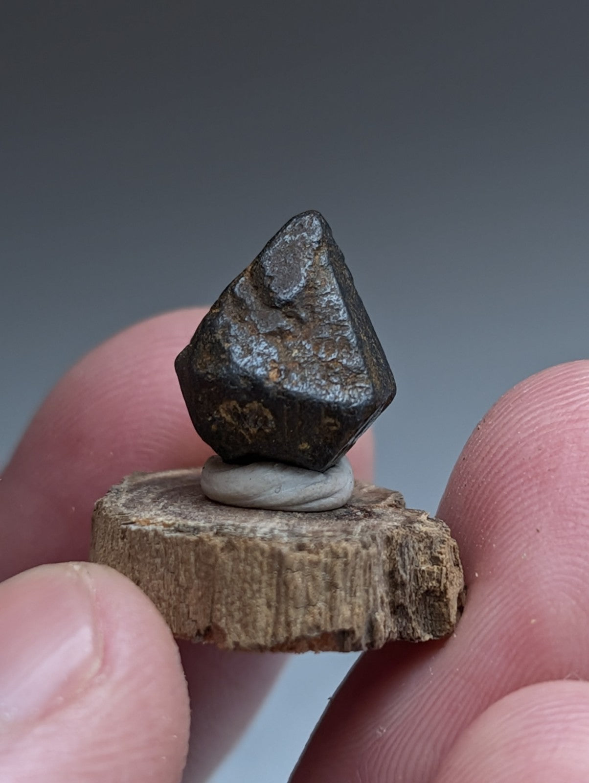 Magnetite Crystal, Magnet Cove Igneous Complex, Arkansas, Old Stock, +wood stand