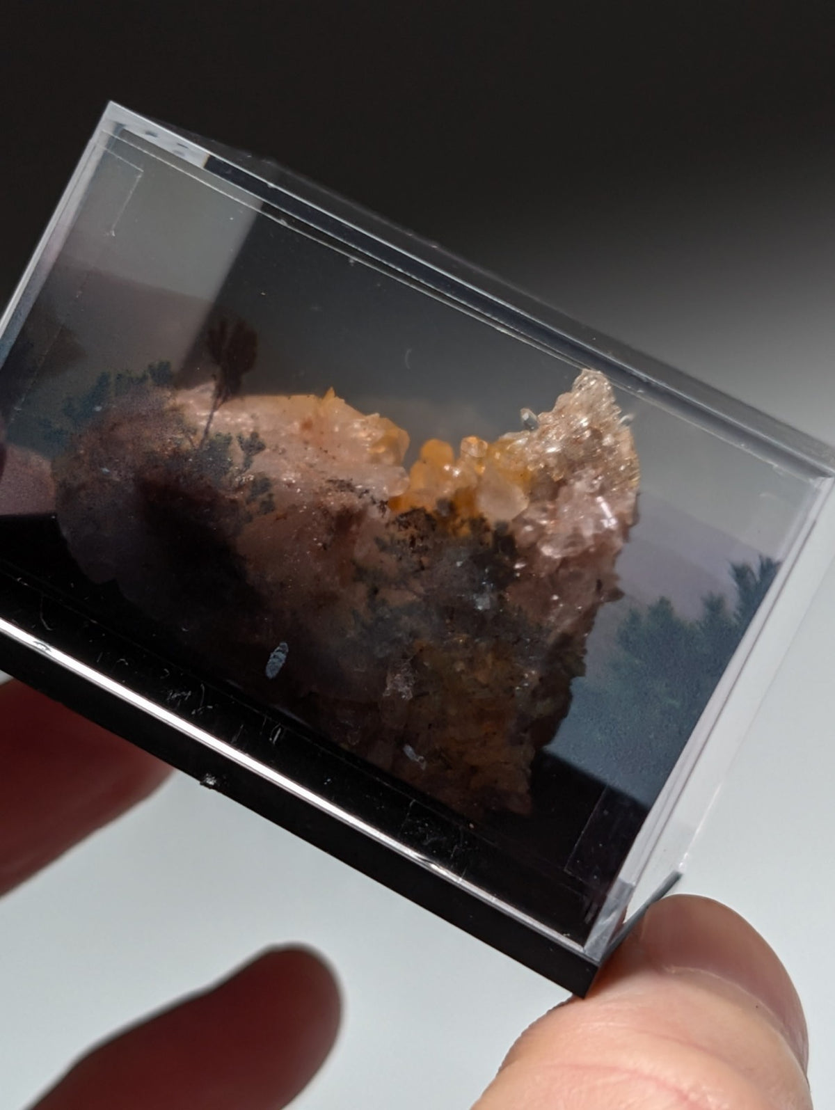 Pyramid Quartz Crystal Cluster, w/ photo case/mount, Montgomery County, Arkansas