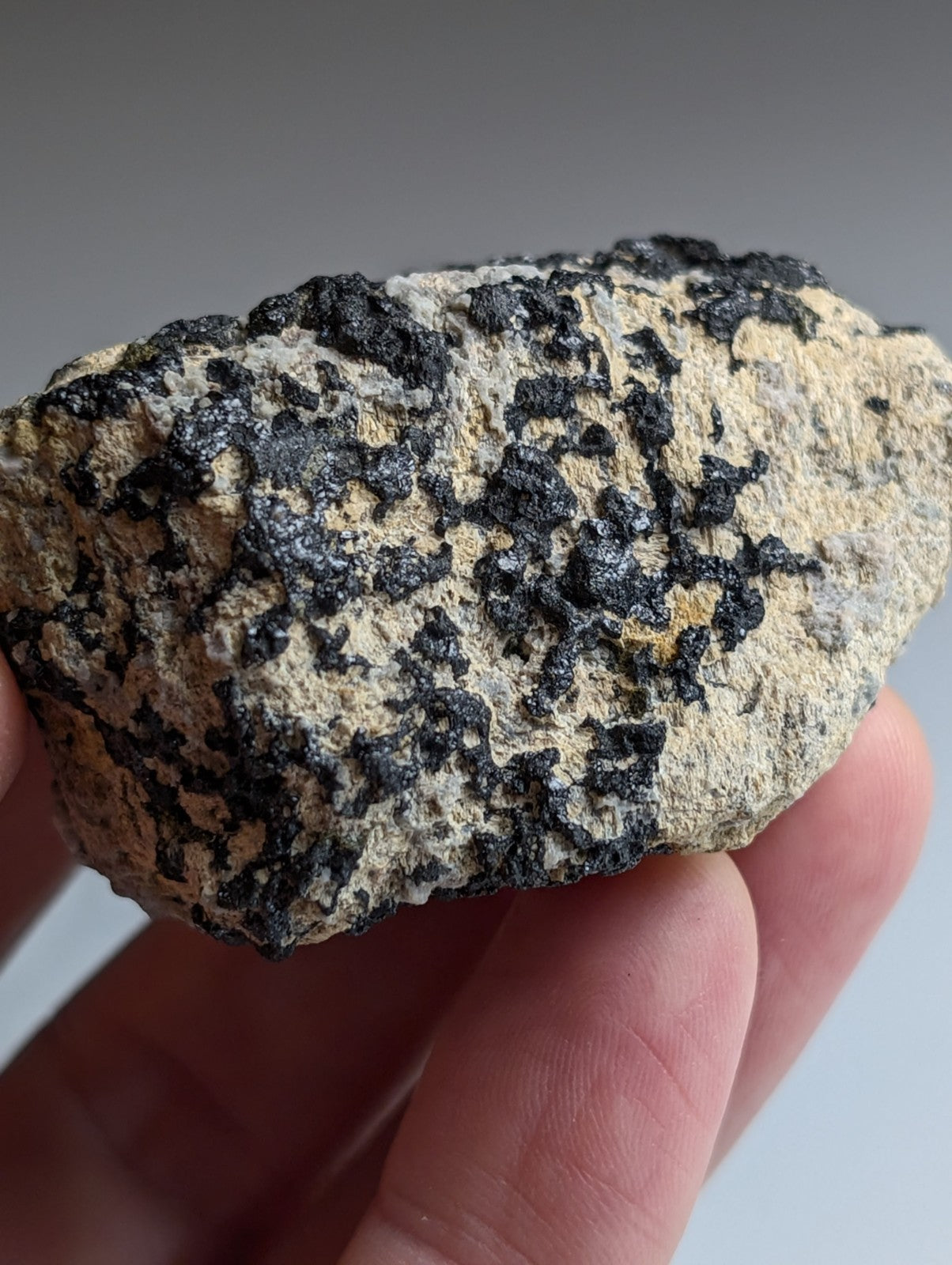 Garnet on Syenite matrix, Magnet Cove, Hot Spring County, Arkansas, Old Stock