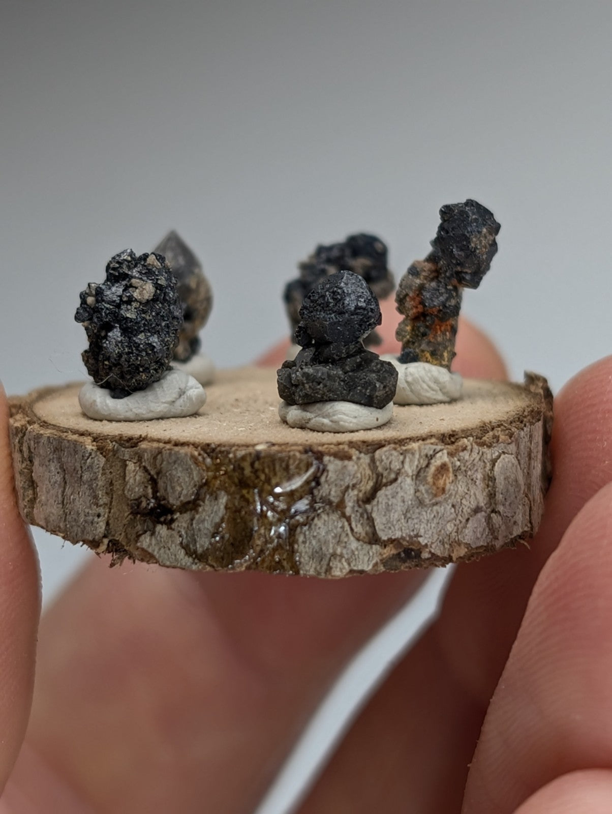 Set of 5 Brookite + Smoky Quartz, Magnet Cove, Arkansas, Old Stock, + wood stand