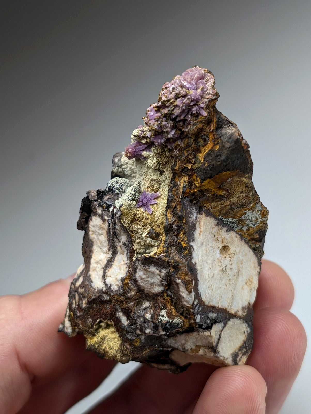 Super Rare Strengite + Kidwellite, etc, Coon Creek Mine, Polk Co, Arkansas, A+++