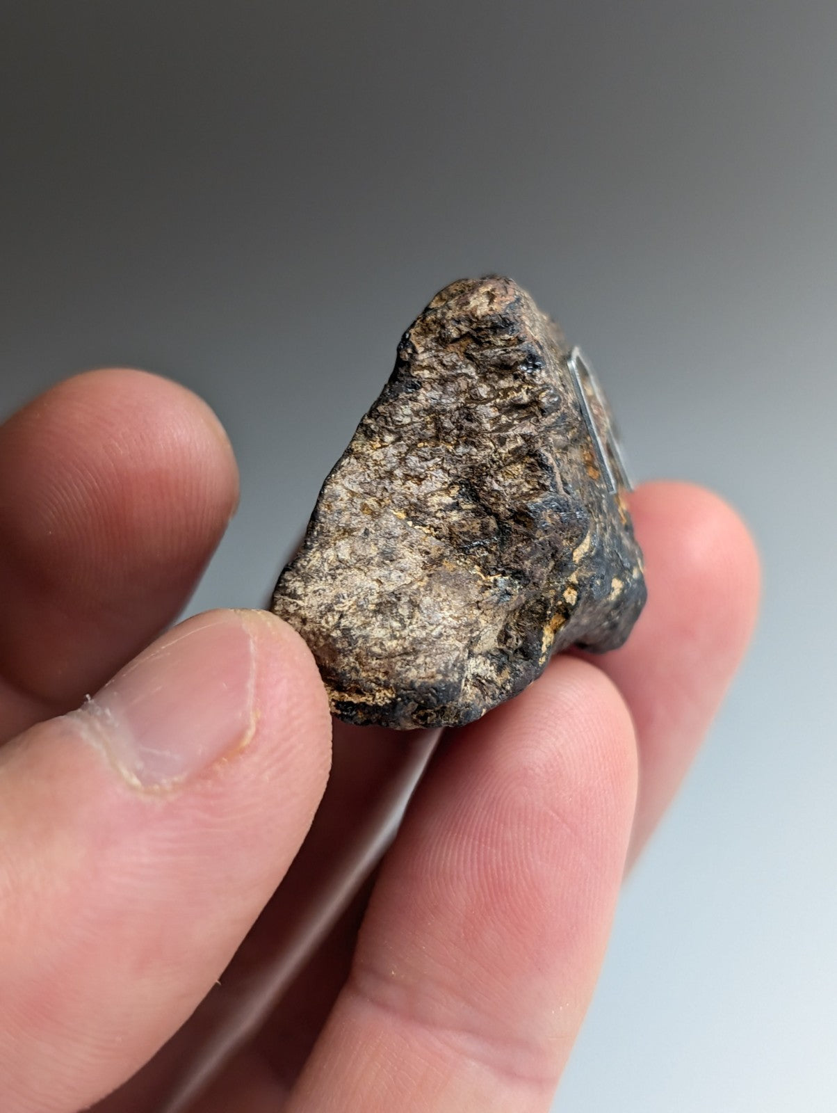 Magnetite (Lodestone), Magnet Cove, Arkansas, Old Stock, natural magnet, x3 Set!