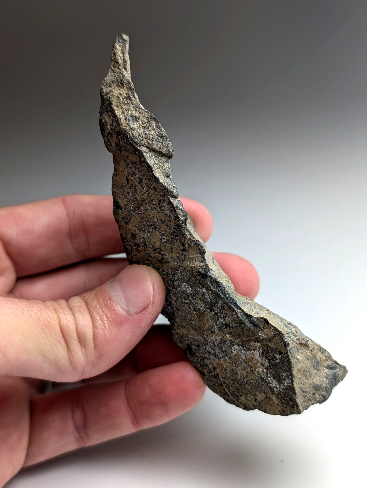 Jacupirangite, Magnet Cove, Hot Spring County, Arkansas, Unique Old Stock