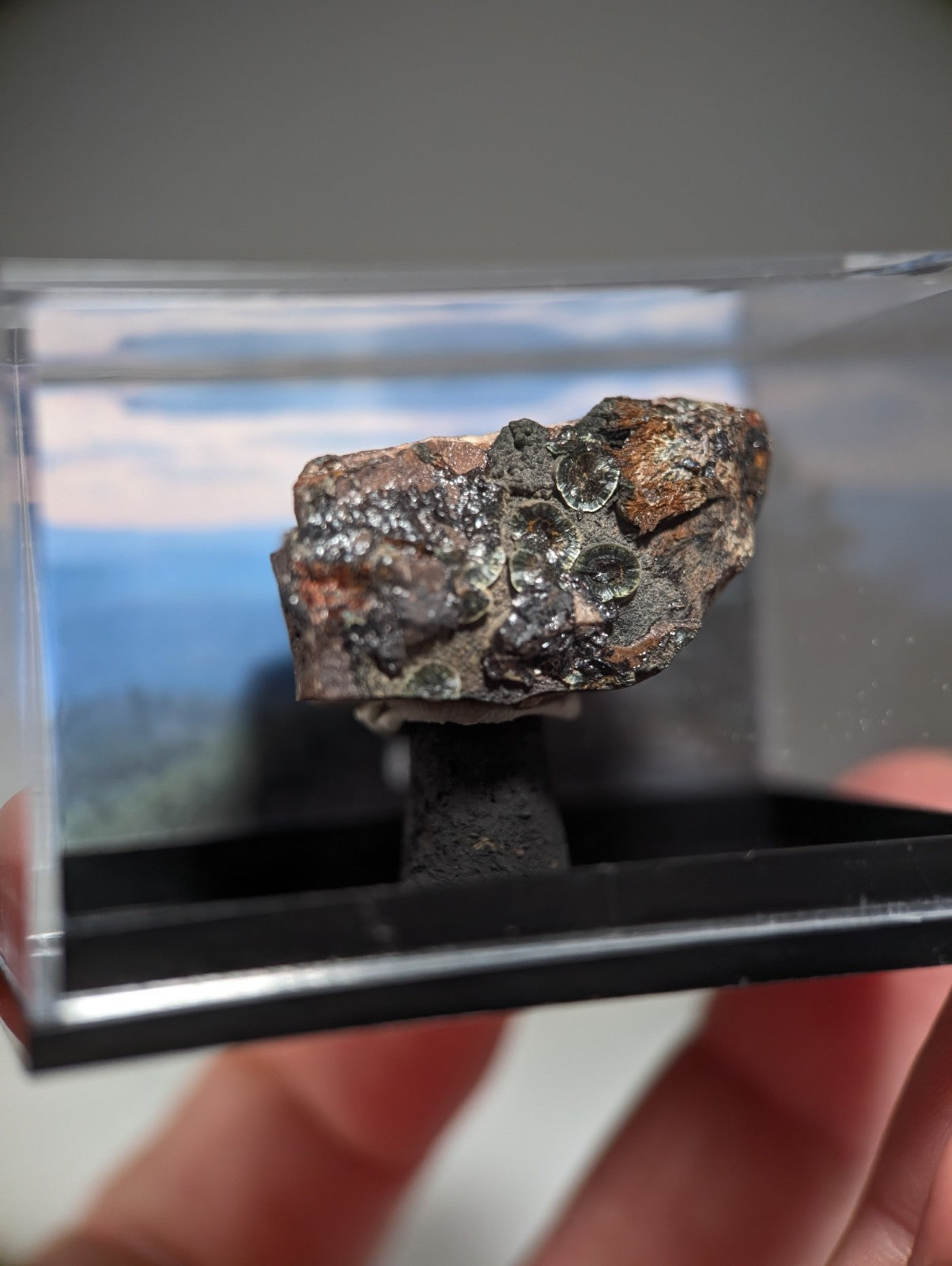 Rare Kidwellite on Novaculite - Coon Creek, Polk County, Arkansas, w/ photo case