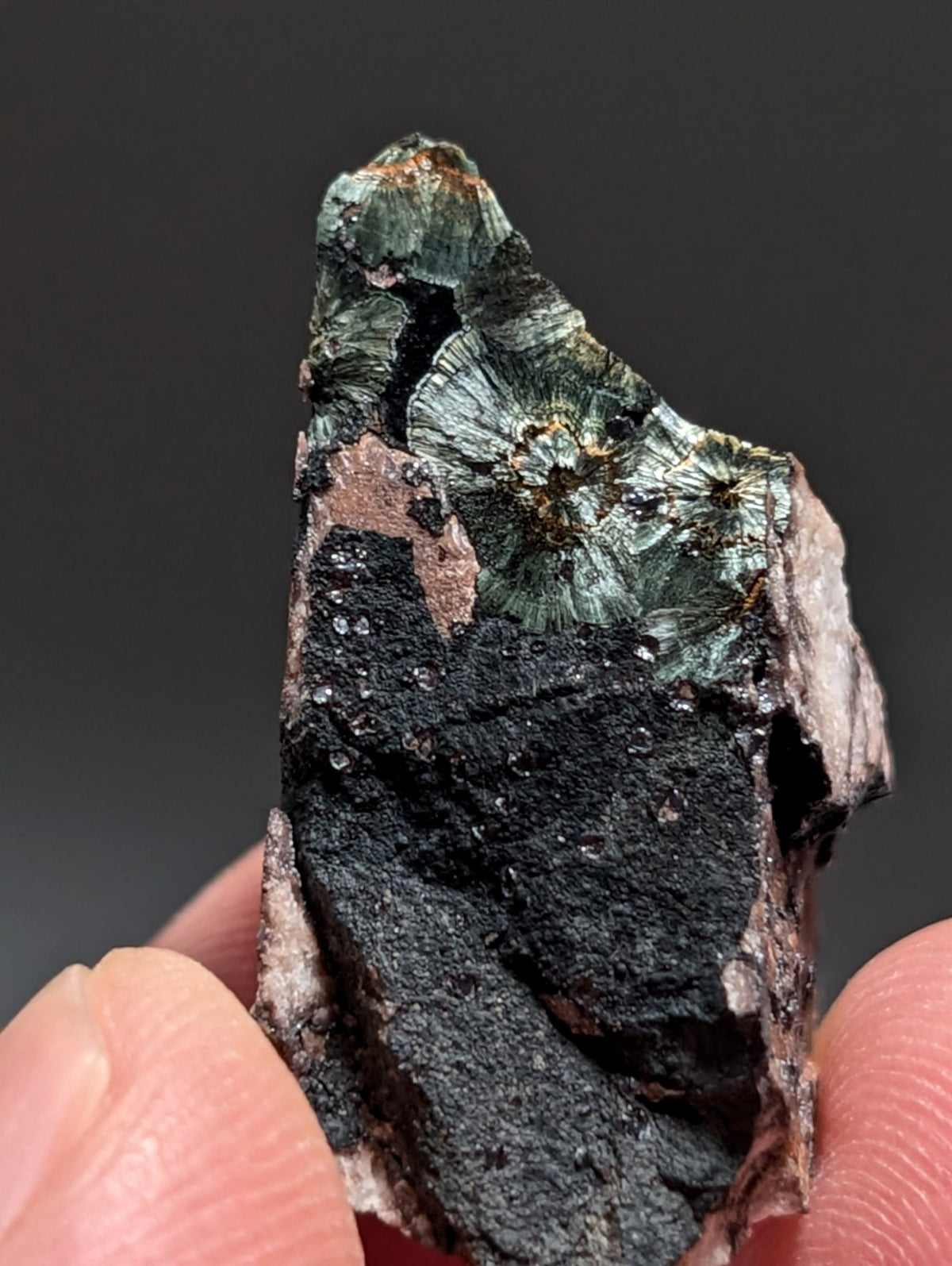 Rare Kidwellite specimen - Coon Creek Mine, Polk County, Arkansas, USA