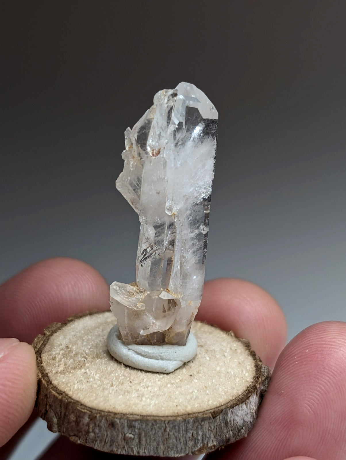 Unique Faden Quartz Crystal, Montgomery County, Arkansas, USA, w/ wood mount
