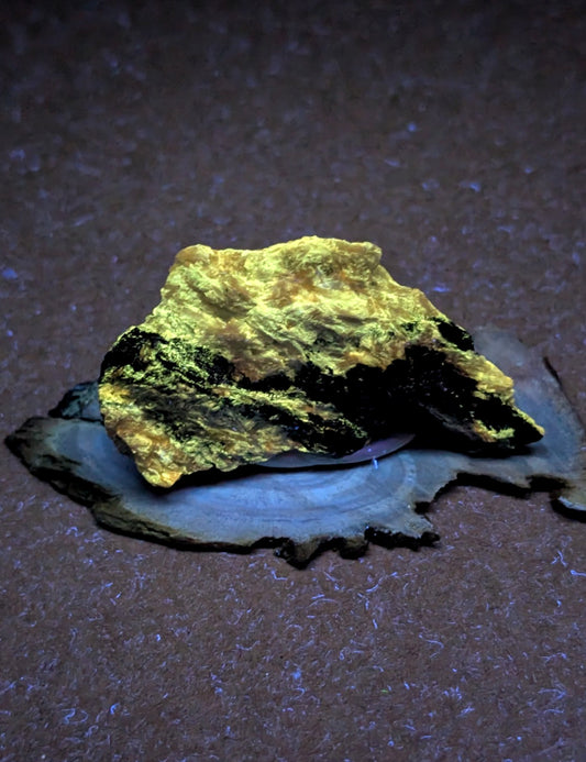 Rare Miserite + Wollastonite, Wilson Springs, Garland County, Arkansas, w/ base (UV Reactive)