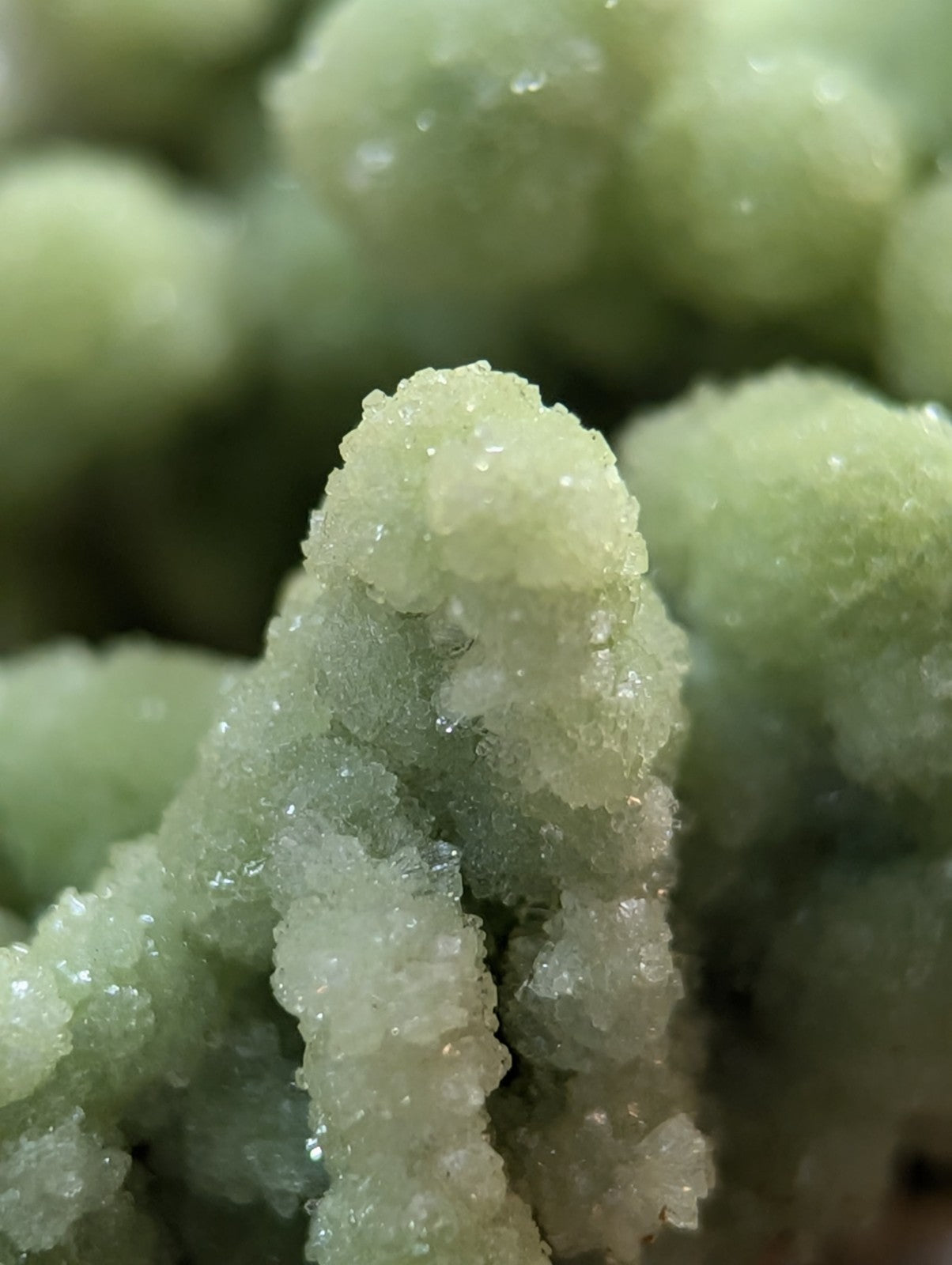 A+ FluorWavellite, w/ wood mount + photo case - Montgomery County, Arkansas