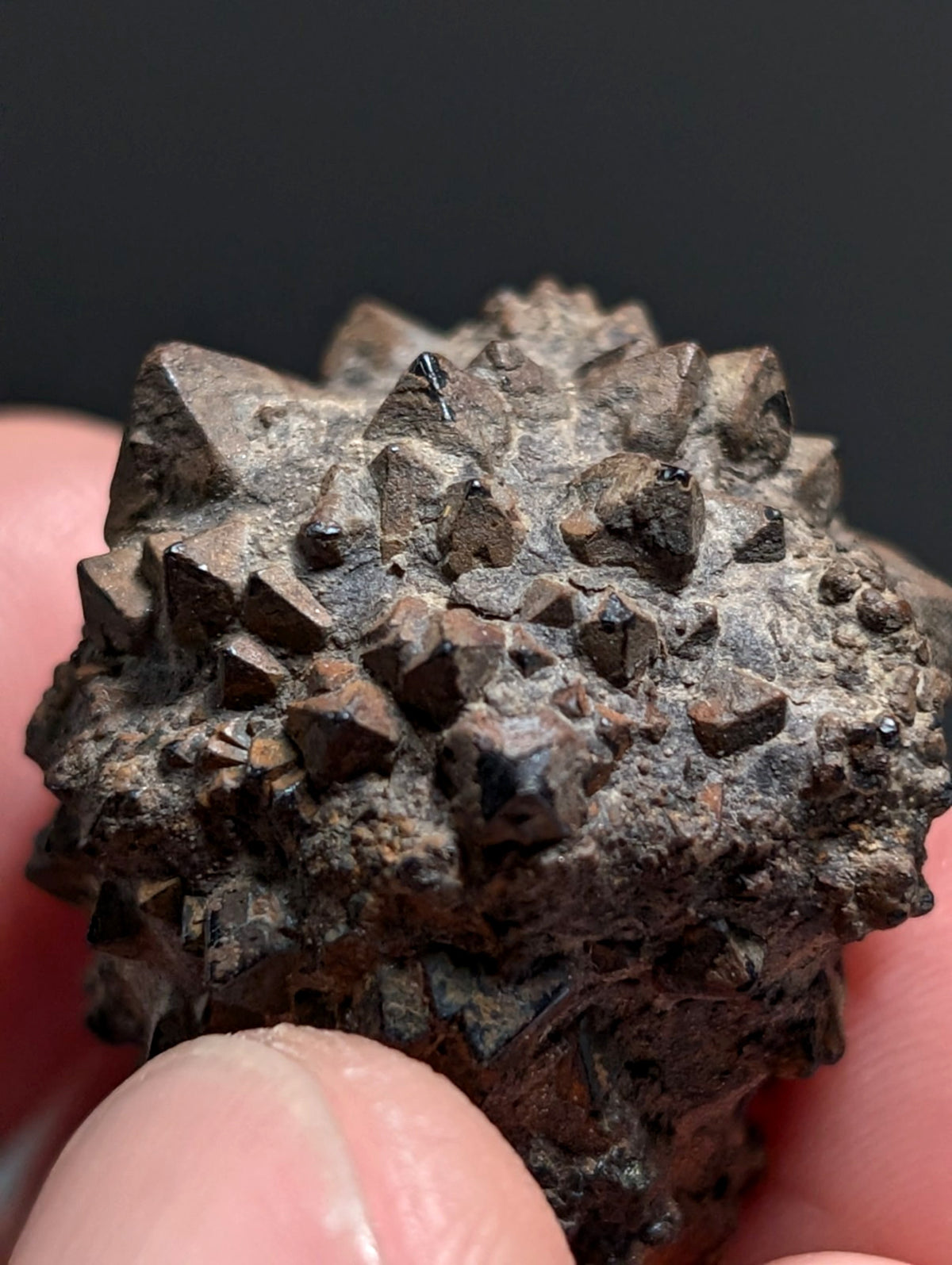 Limonite & Pyrite Pseudomorph, Benton County, Arkansas,  Ex Henry Delinde!