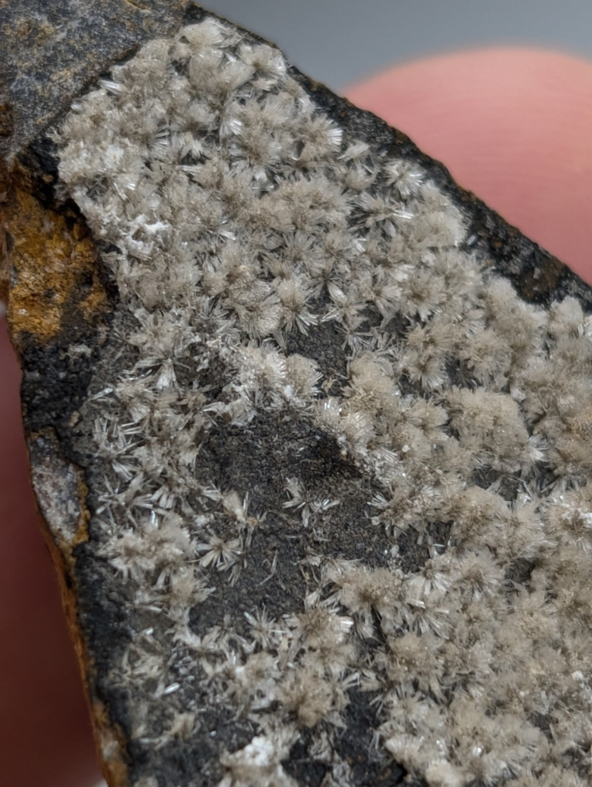 Wavellite - Potash Sulphur Springs, Garland County, Arkansas, ex Delinde, RARE