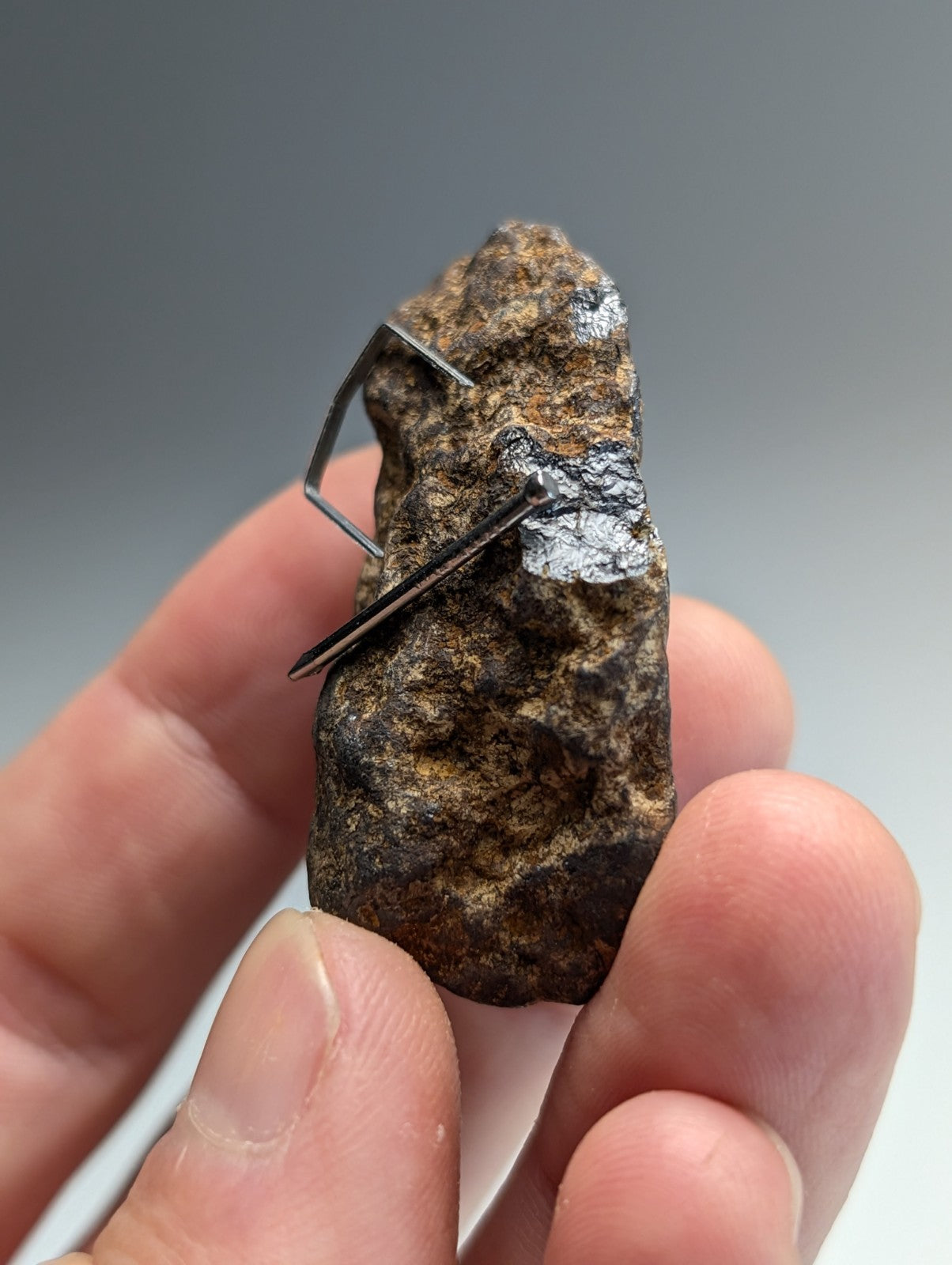 Magnetite (lodestone), Magnet Cove, Hot Spring County, Arkansas, Natural Magnet!