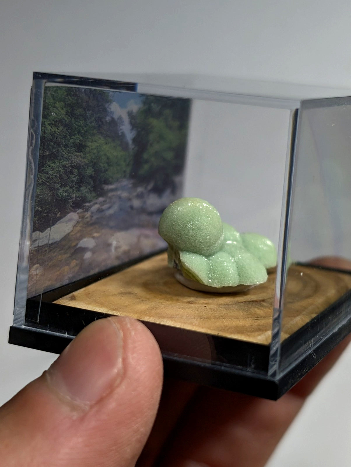 Wavellite, w/ wood mount + photo case - Old Stock - Montgomery County, Arkansas