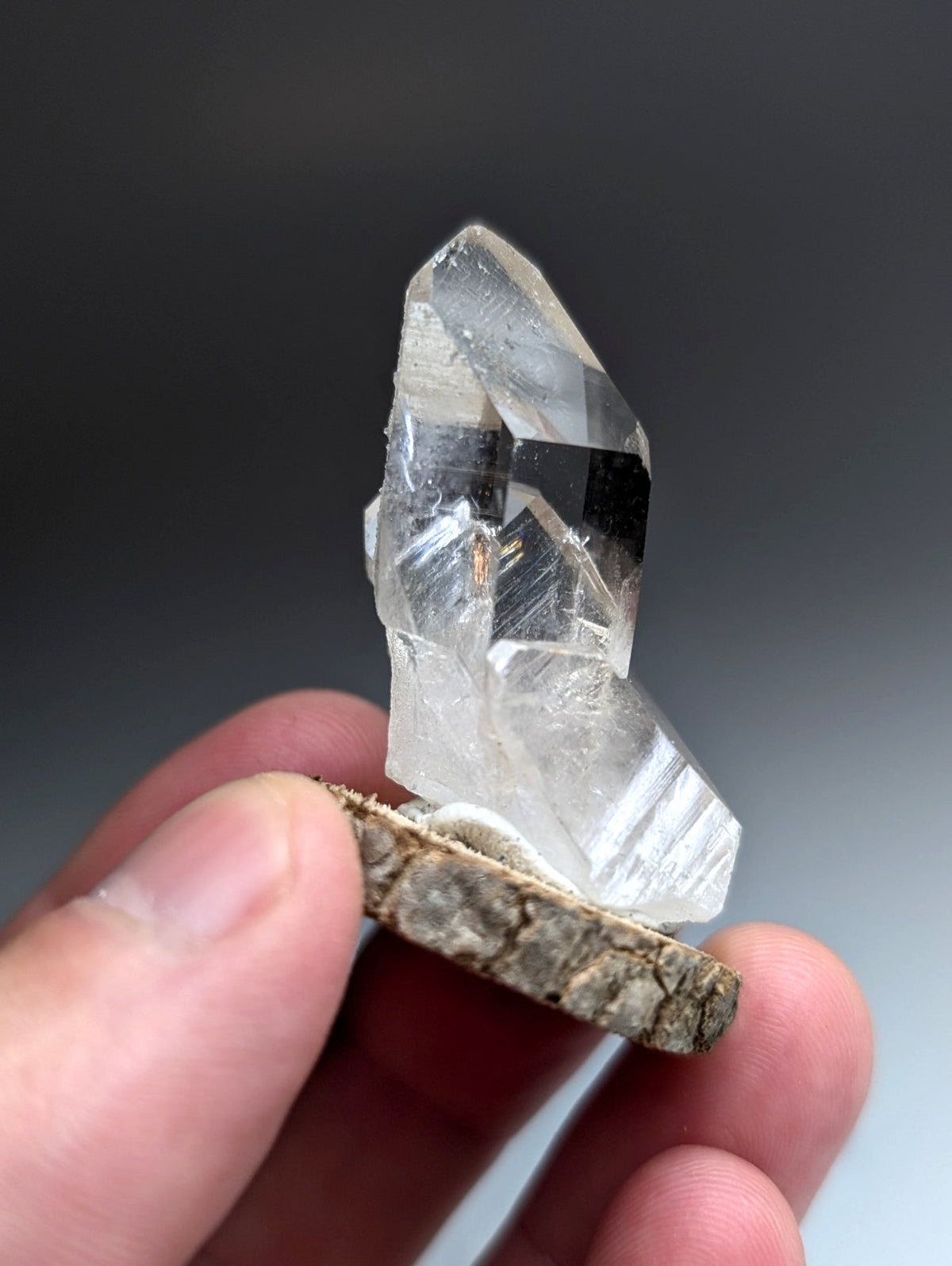 Unique Quartz Point, Old Stock, Garland County, Arkansas, w/ natural wood base