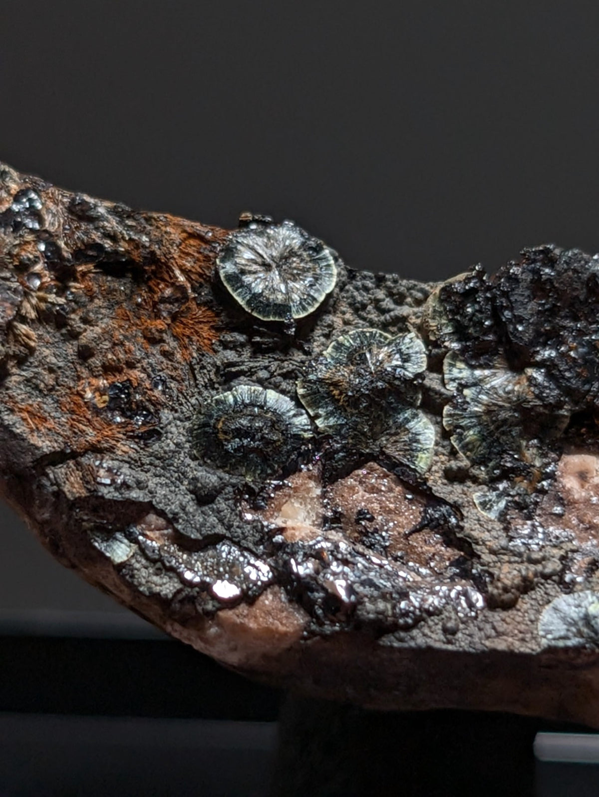 Rare Kidwellite on Novaculite - Coon Creek, Polk County, Arkansas, w/ photo case