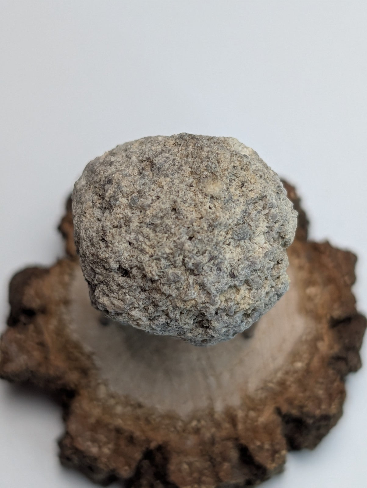 Pseudoleucite, Magnet Cove, Hot Spring County, Arkansas, Old Stock, w/wood stand
