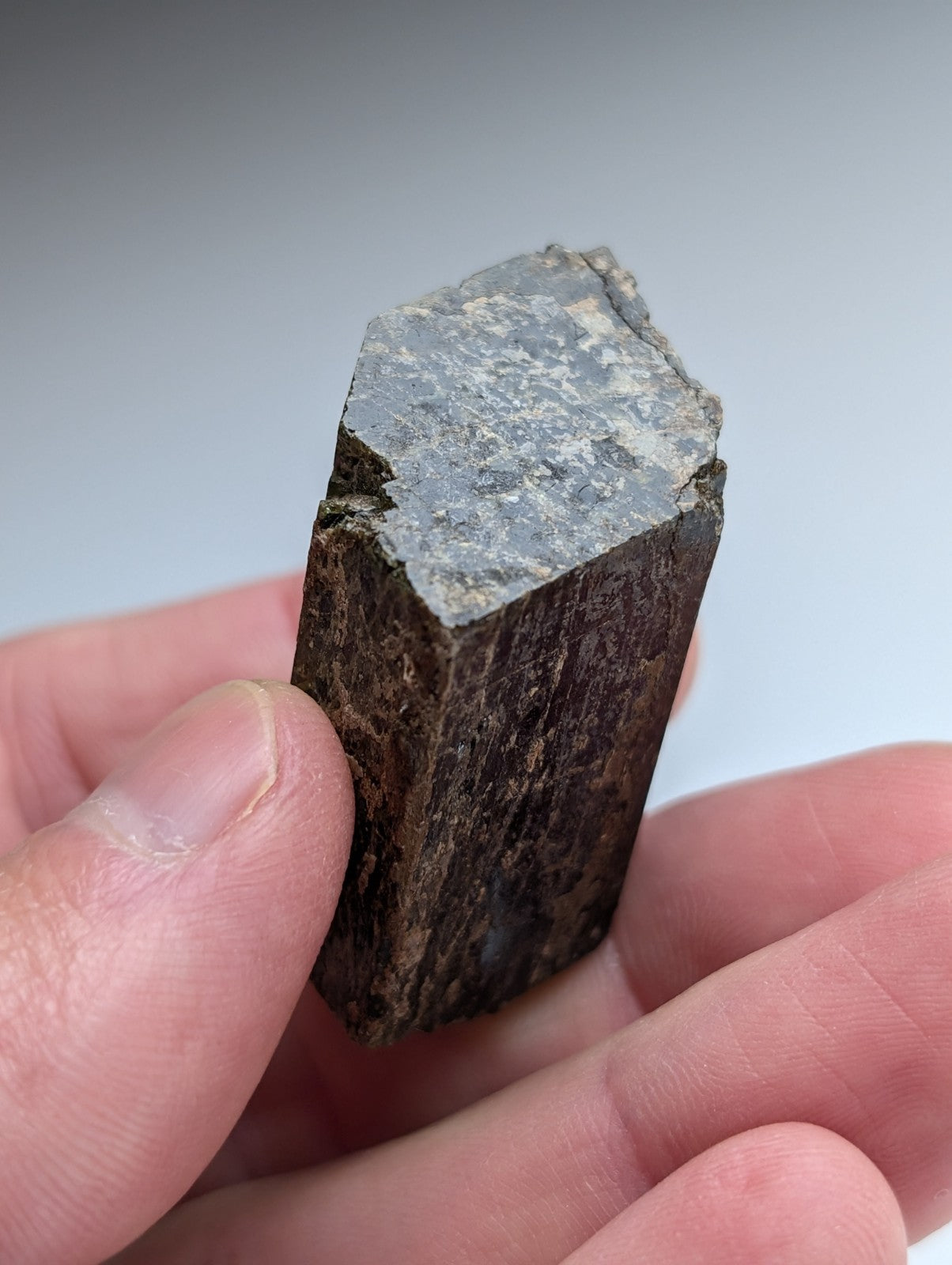 Diopside  (Ex Henry Delinde Collection) Yates Mine, Quebec, Canada, 1977