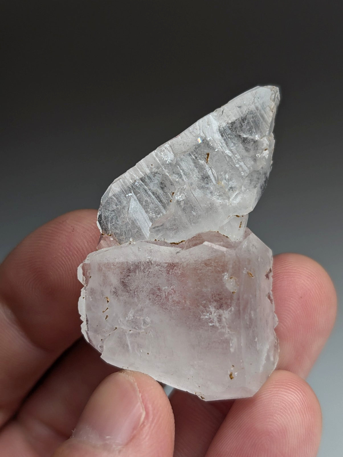 Unique Quartz Crystal "Floater" Point, Old Stock, Montgomery County, Arkansas