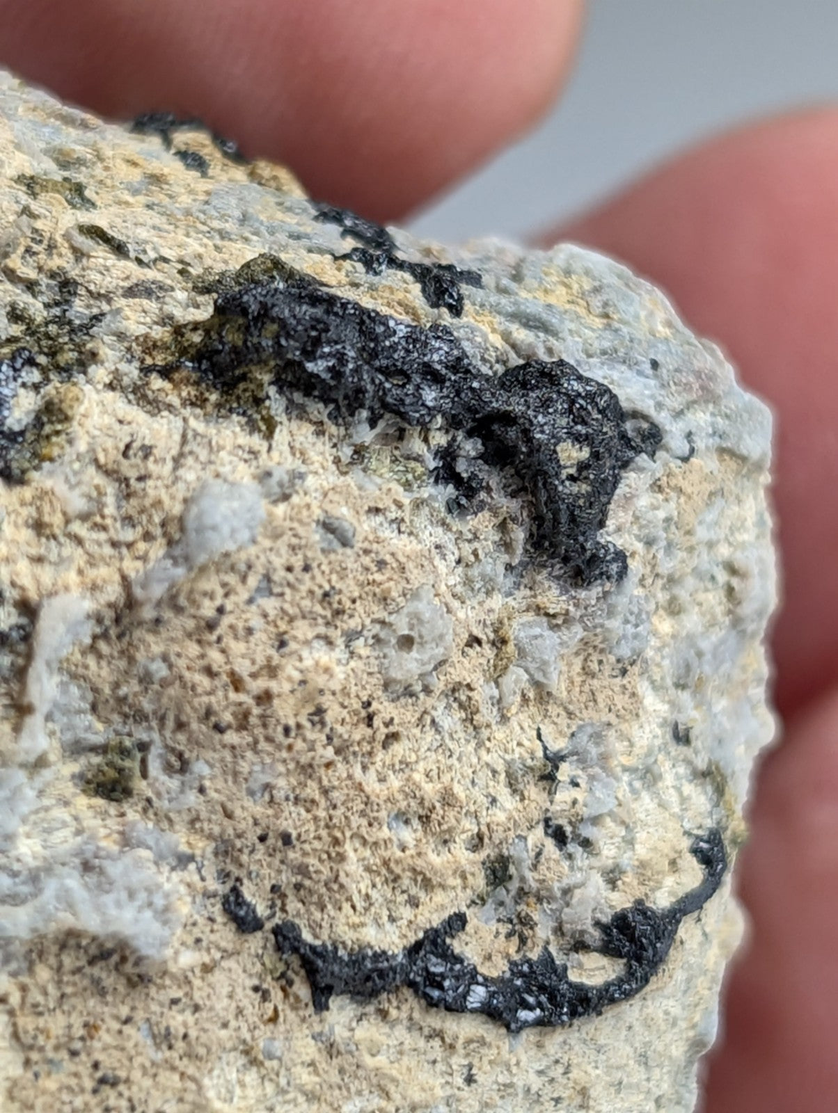 Garnet on Syenite matrix, Magnet Cove, Hot Spring County, Arkansas, Old Stock
