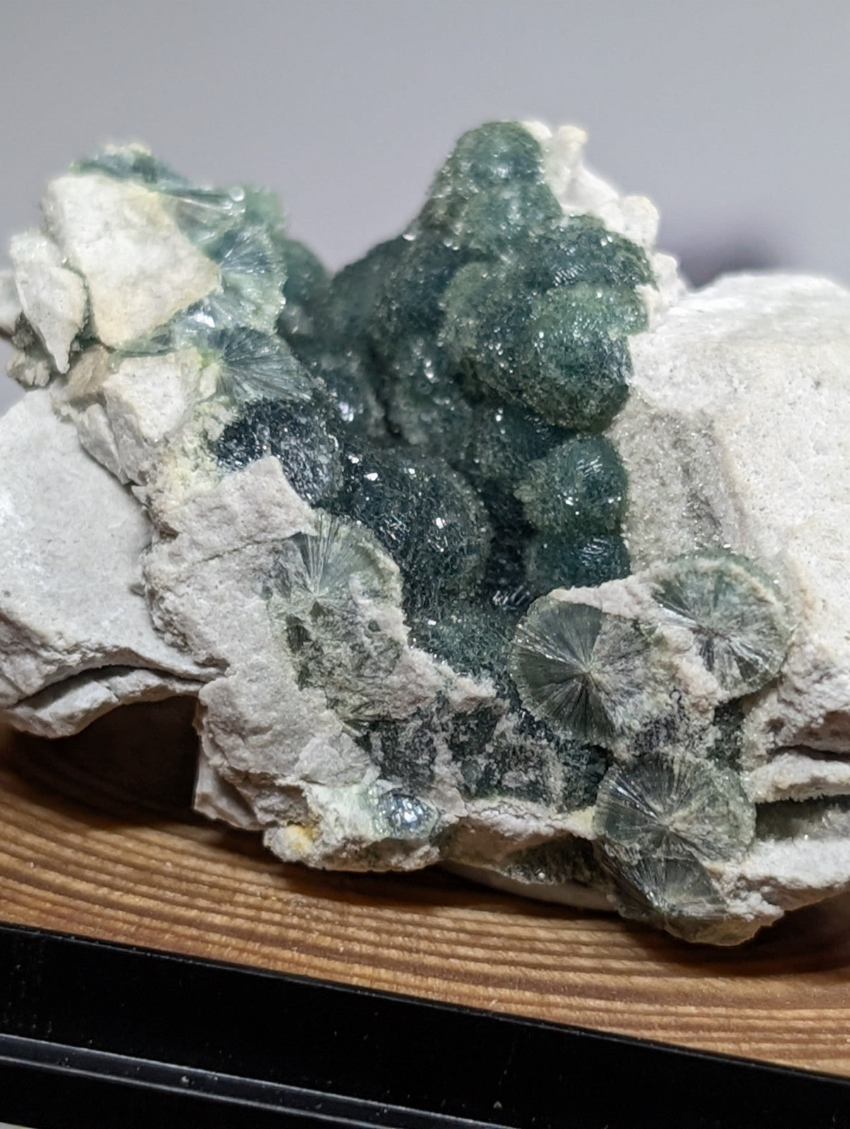 Wavellite, w/ wood mount + photo case - Old Stock - Garland County, Arkansas