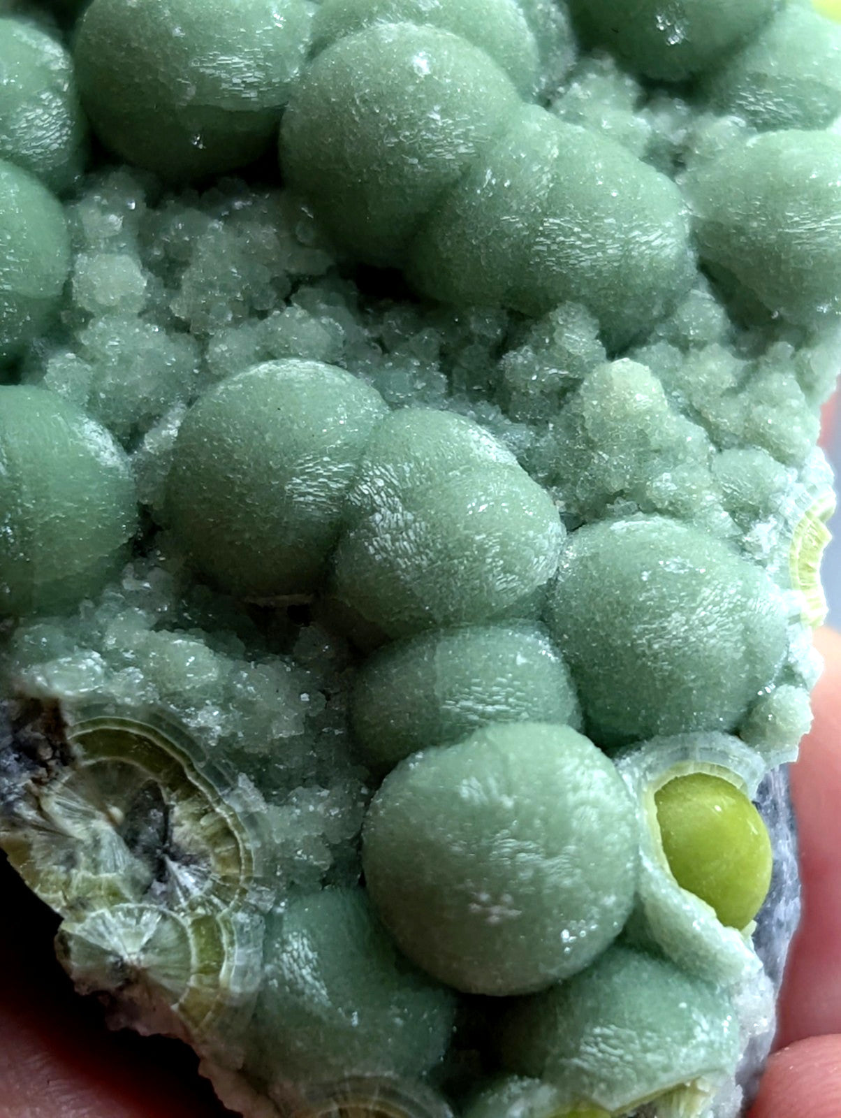 A+ Green Wavellite - Fantastic Old Stock - Mauldin Mountain, Arkansas, USA