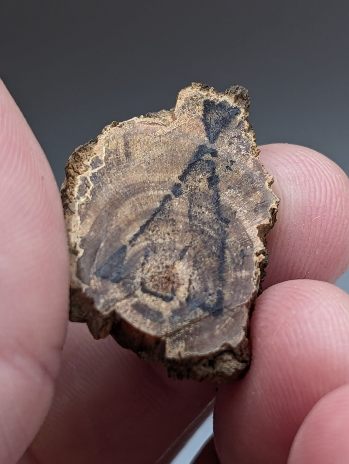A+ Brookite Crystal, Magnet Cove, Arkansas, Old Stock, + wood stand