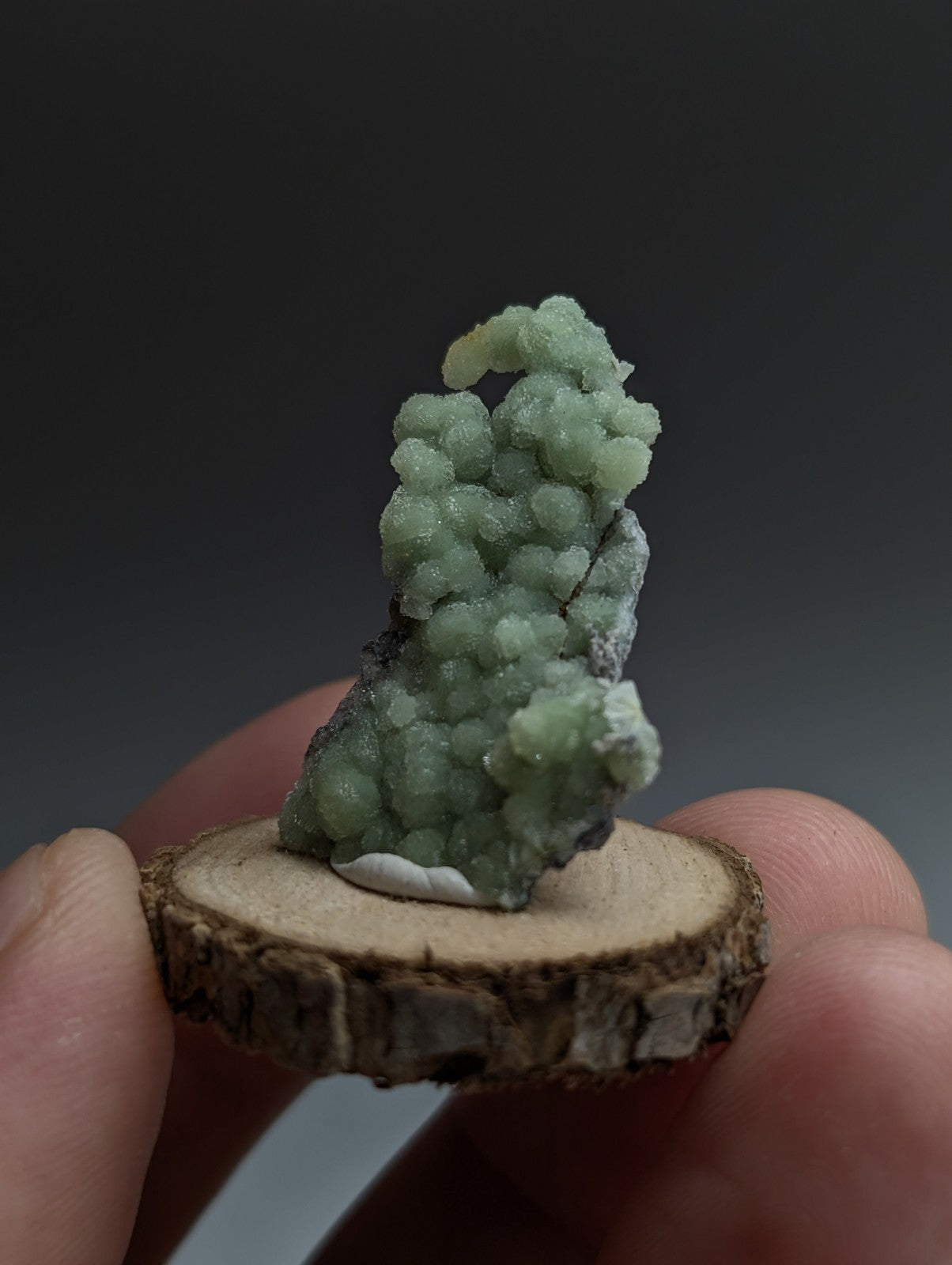 Very Unique Wavellite, Montgomery County, Arkansas, USA, w/ wood mount