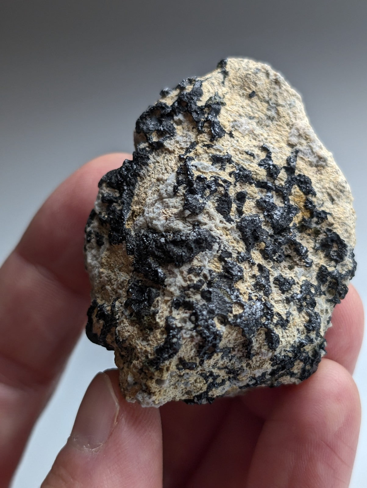 Garnet on Syenite matrix, Magnet Cove, Hot Spring County, Arkansas, Old Stock